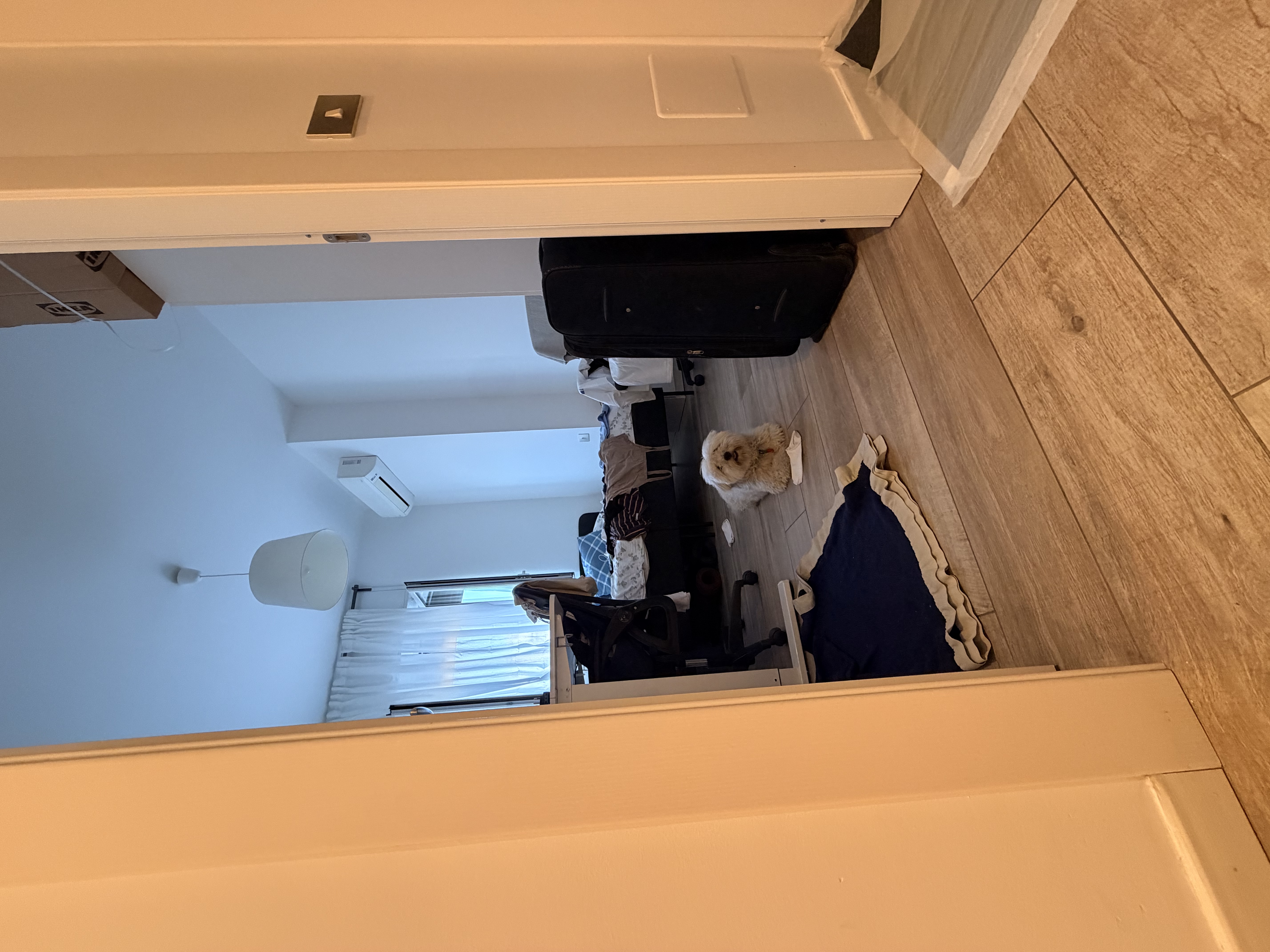 image-12