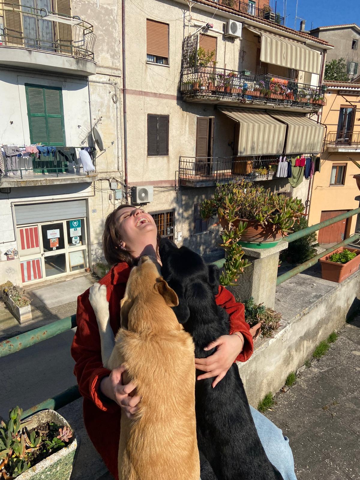 image-5