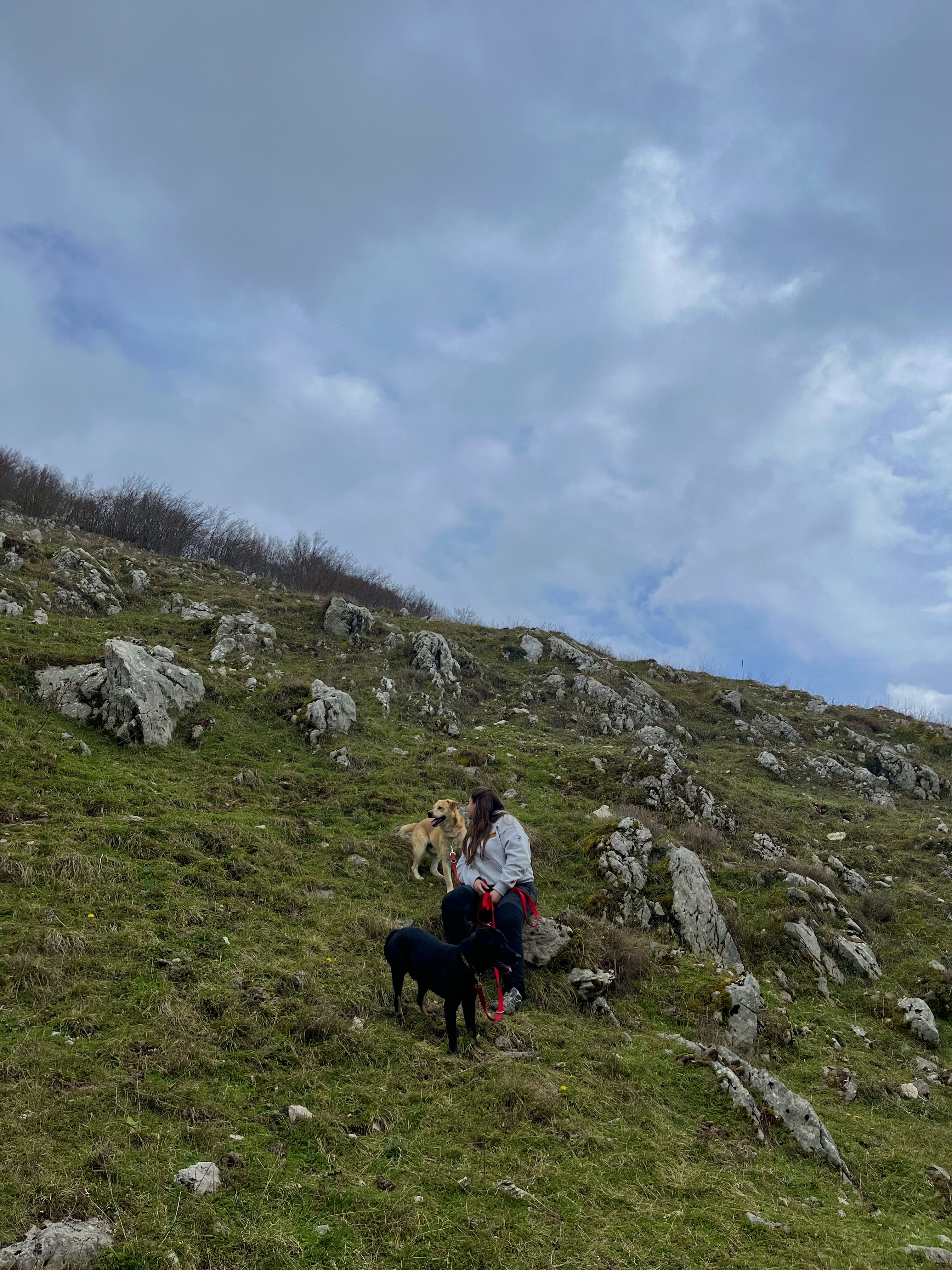 image-9