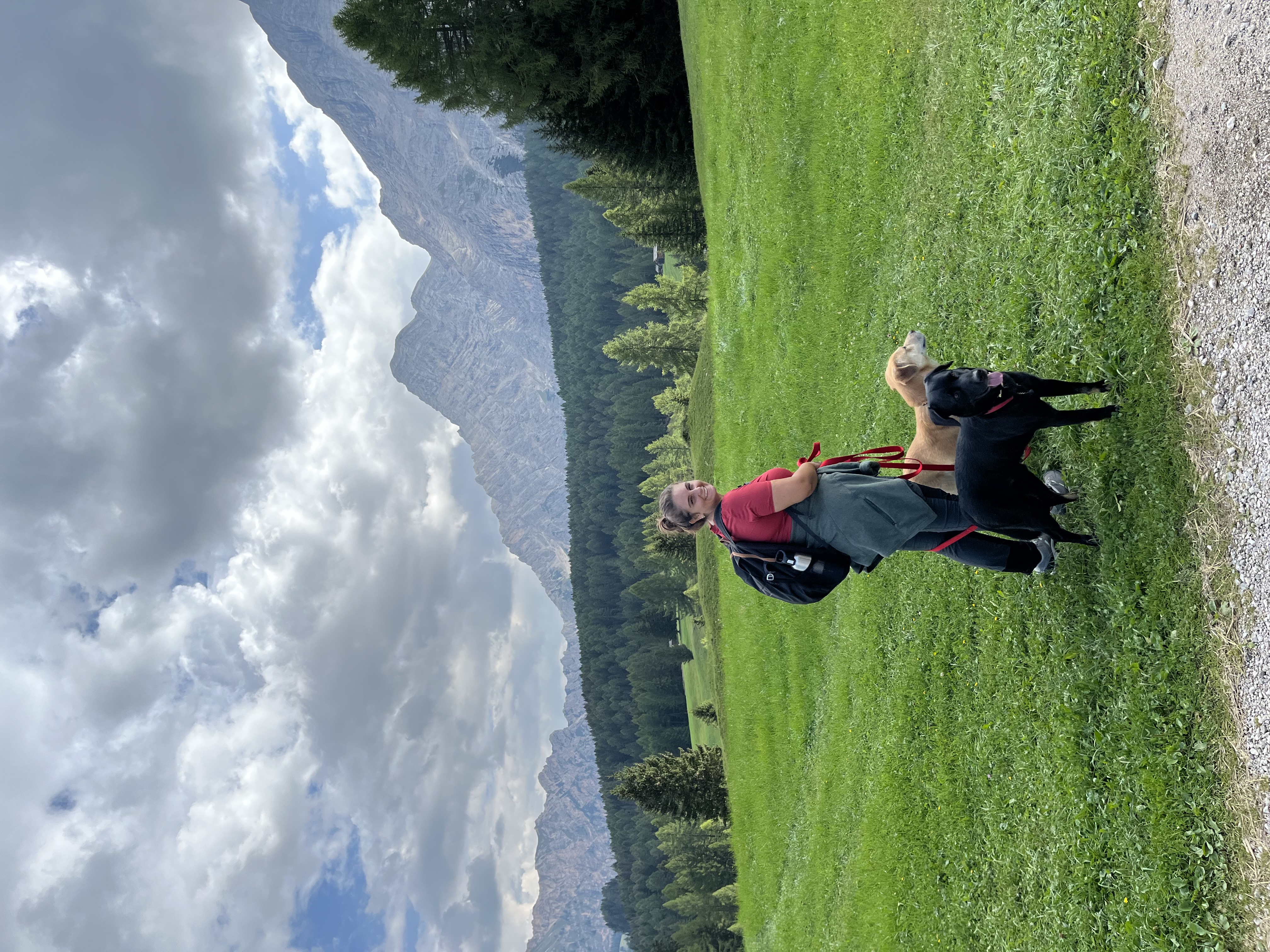 image-4