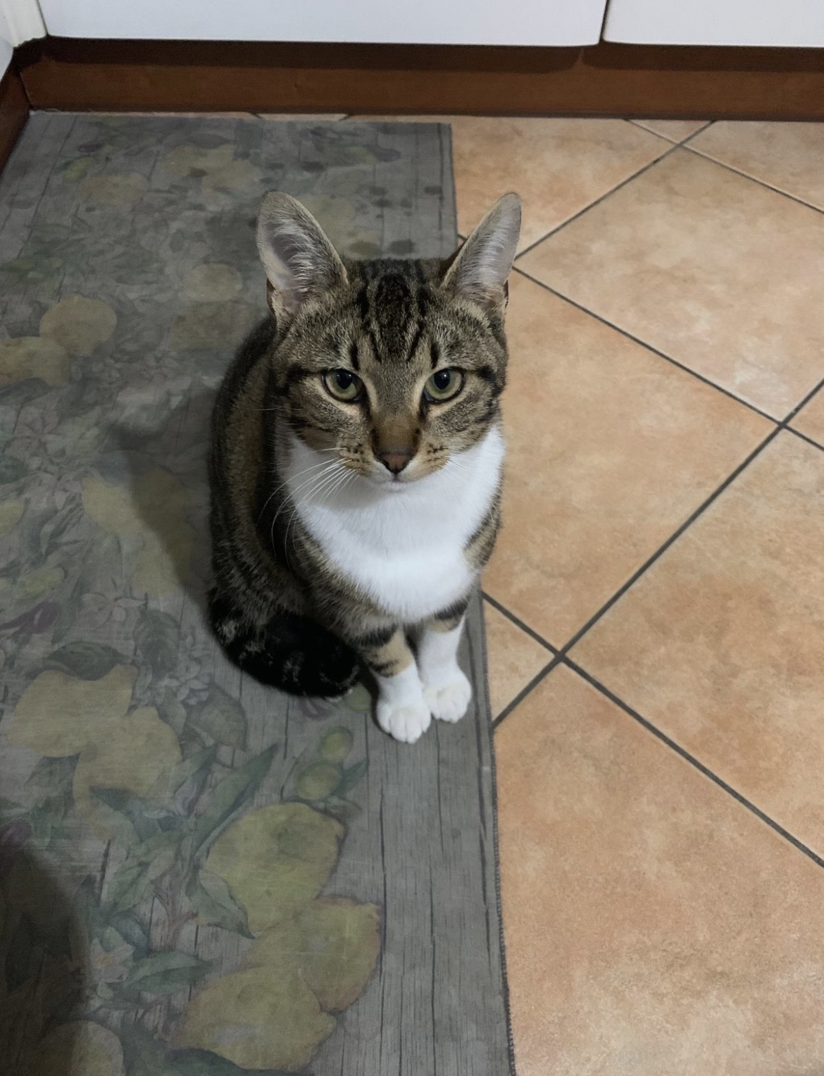 image-11