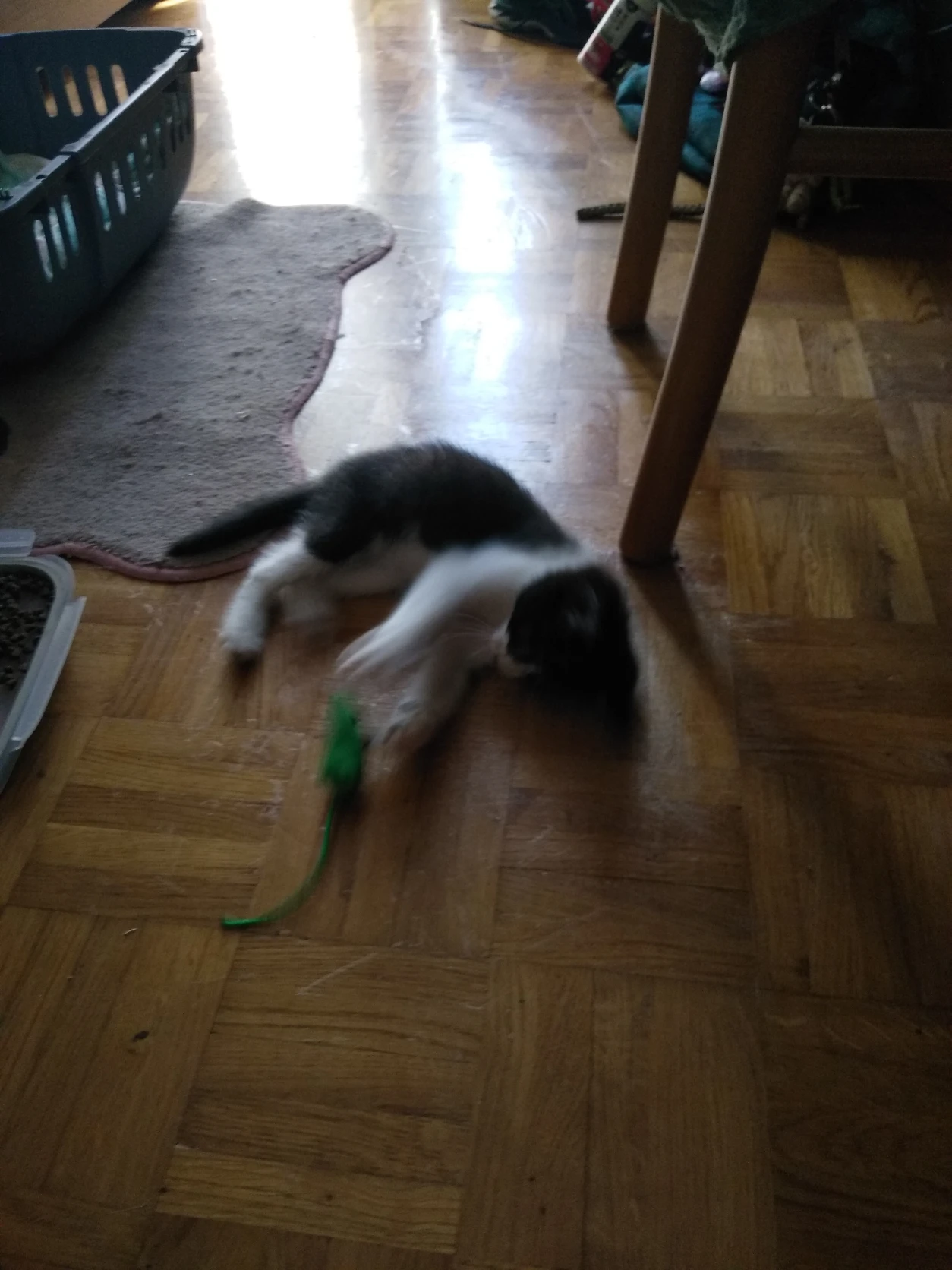 image-13