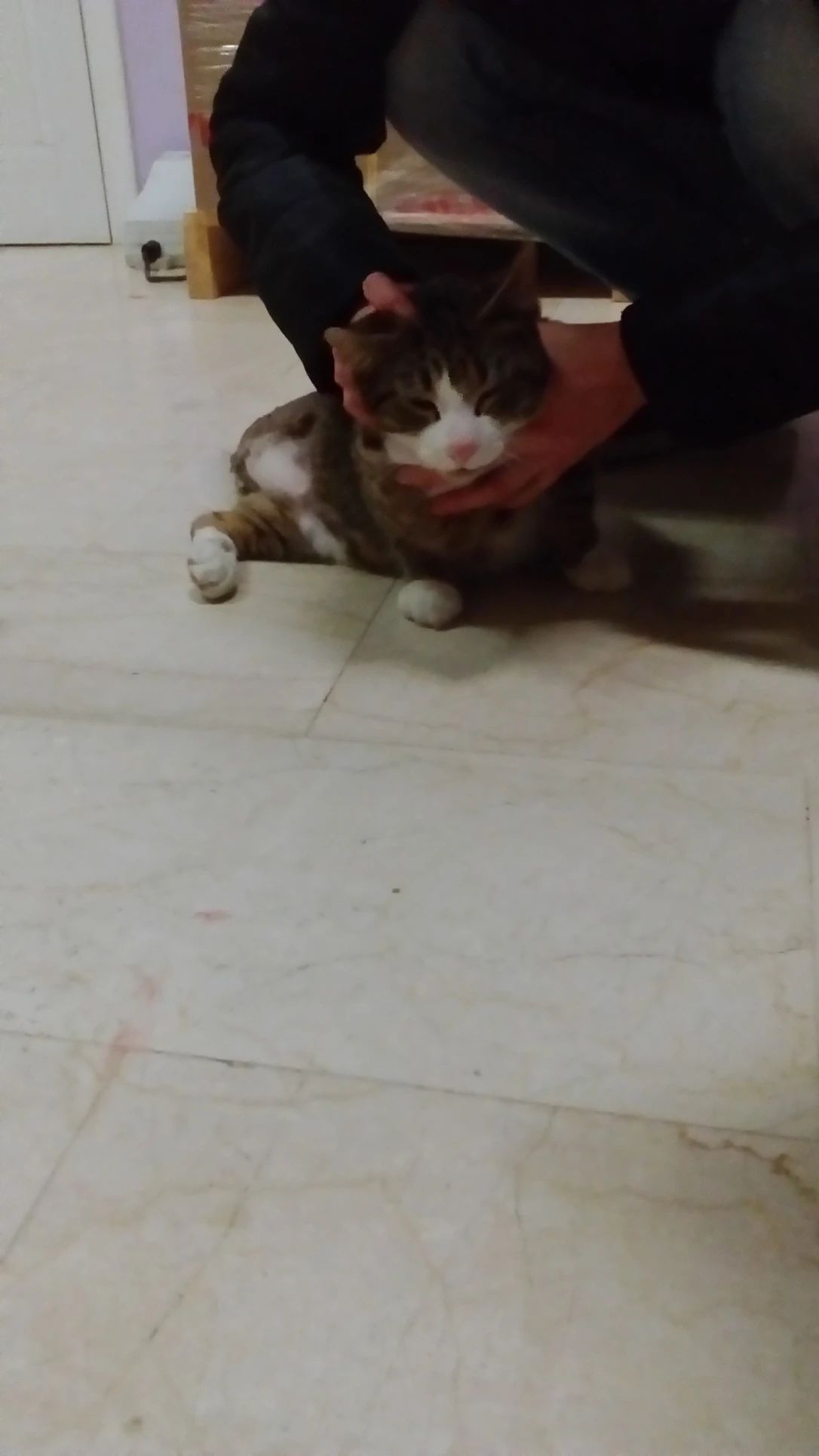 image-7