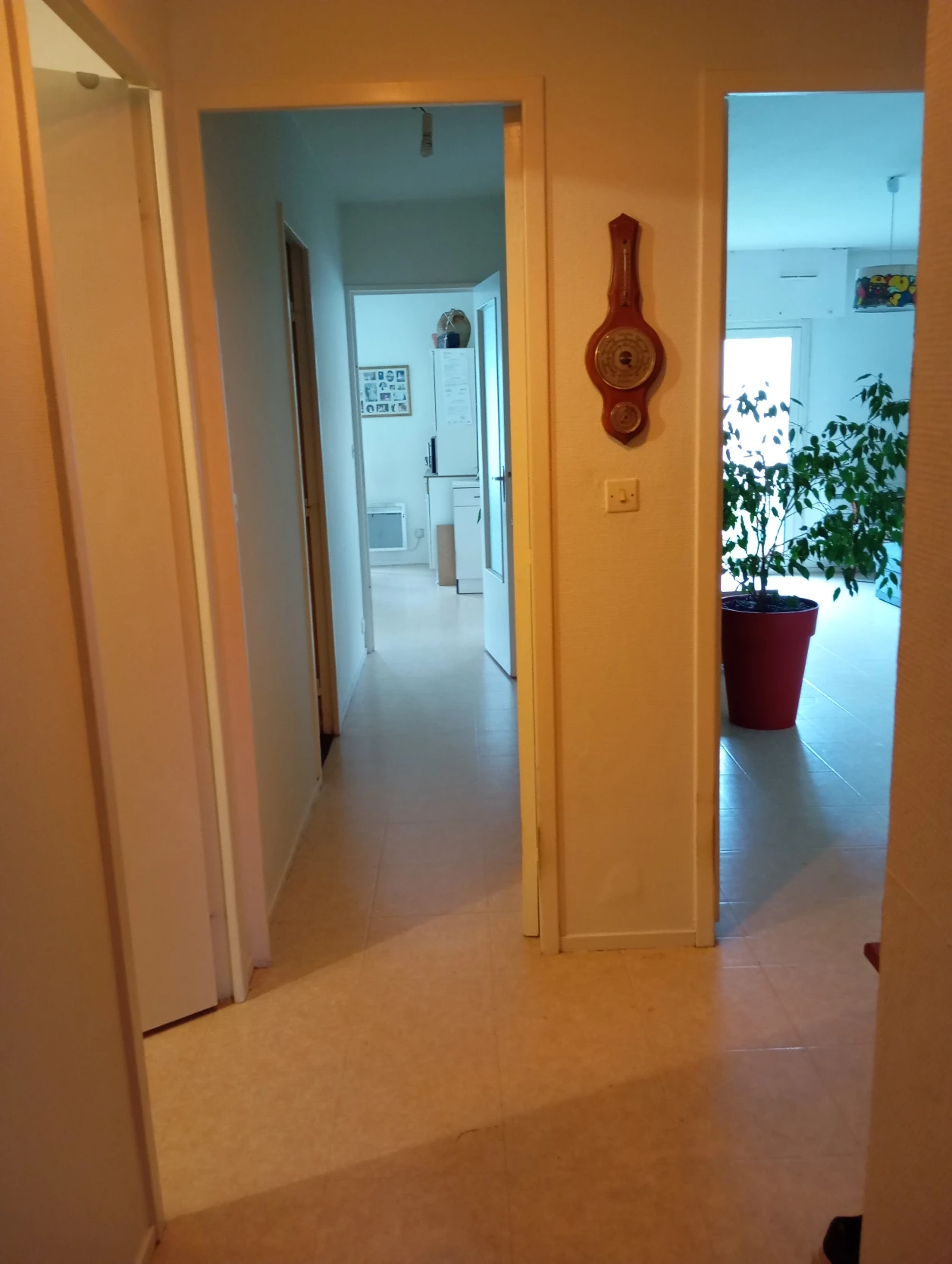image-24
