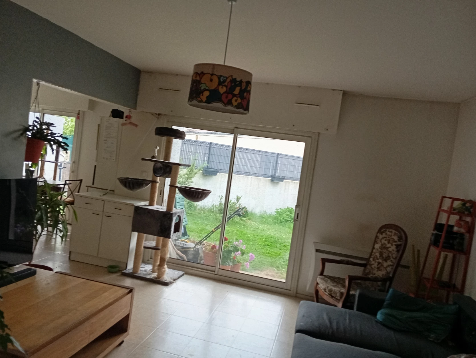 image-19
