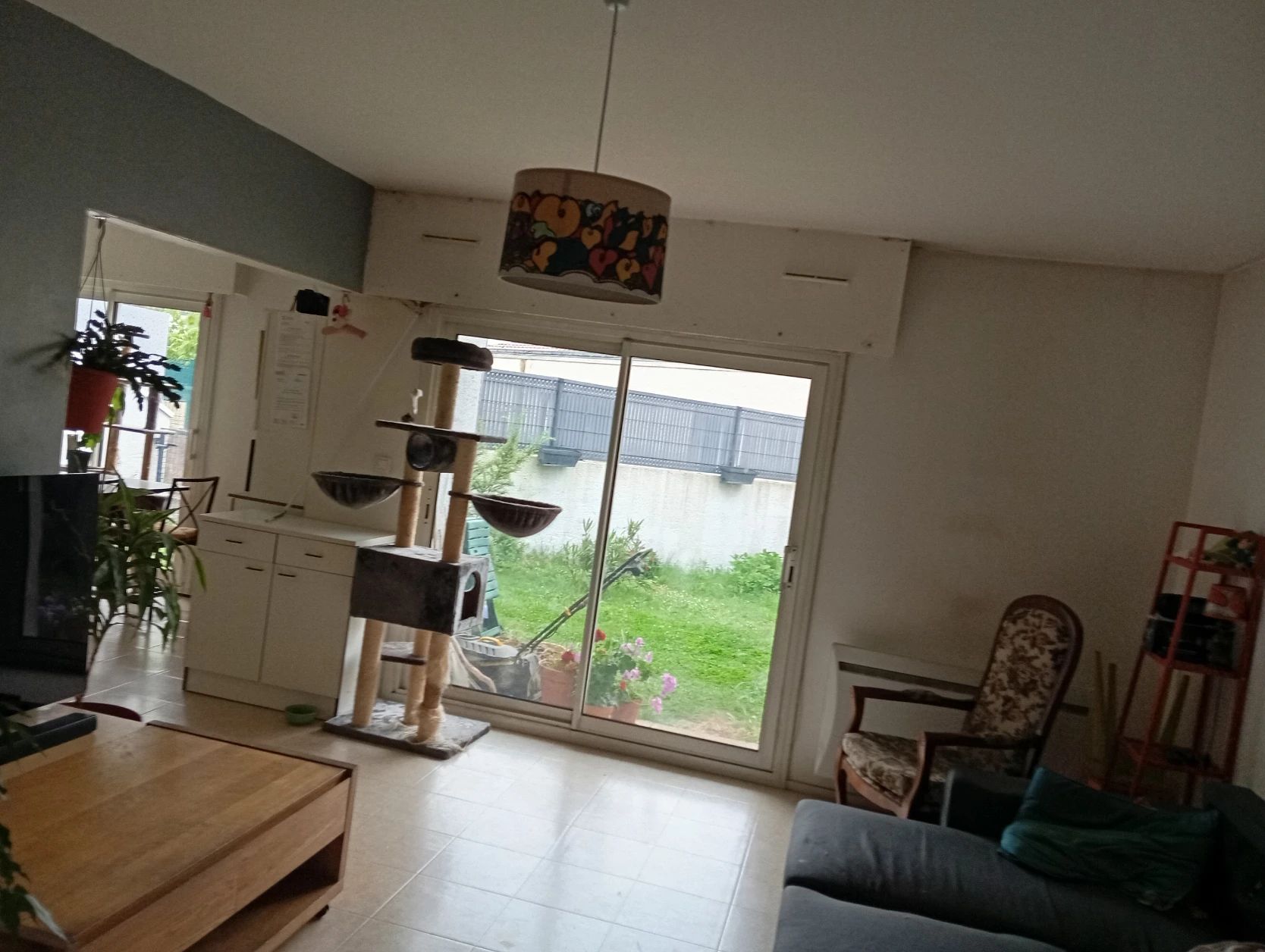 image-19