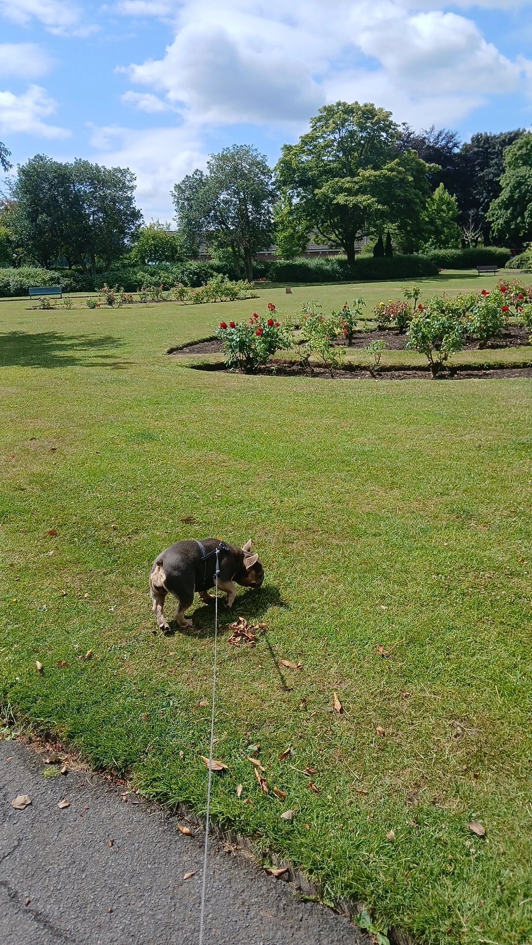image-5