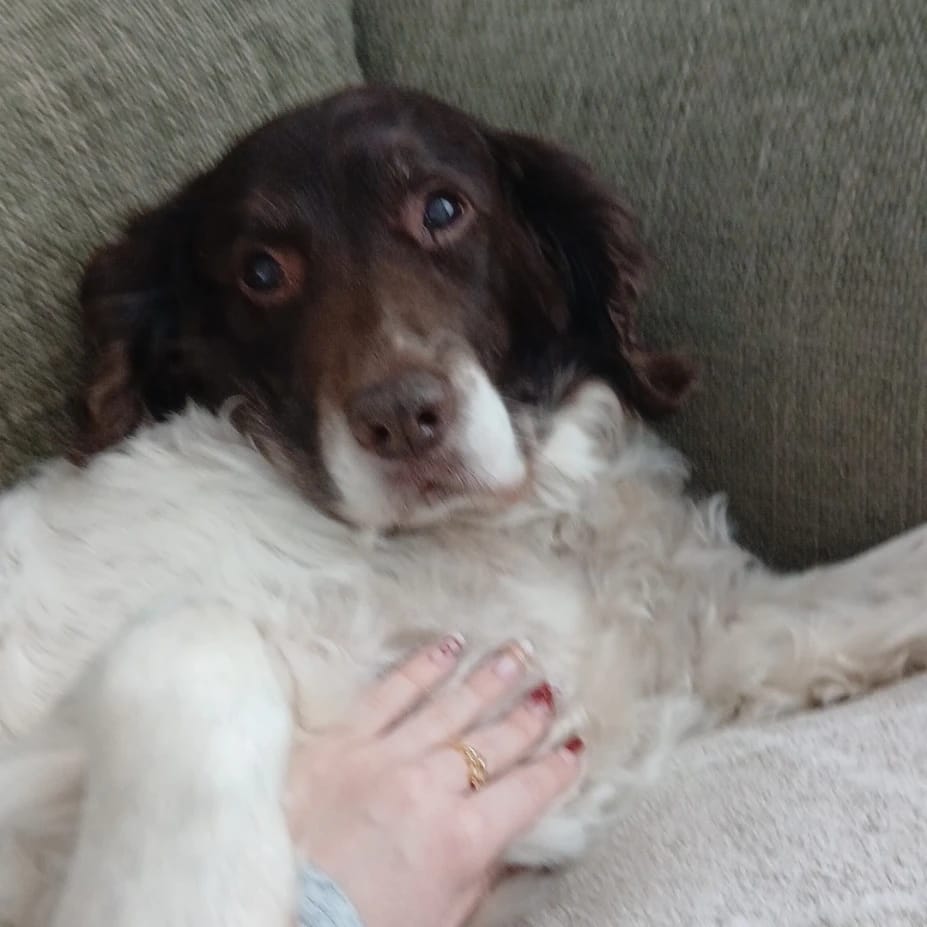 Alfie