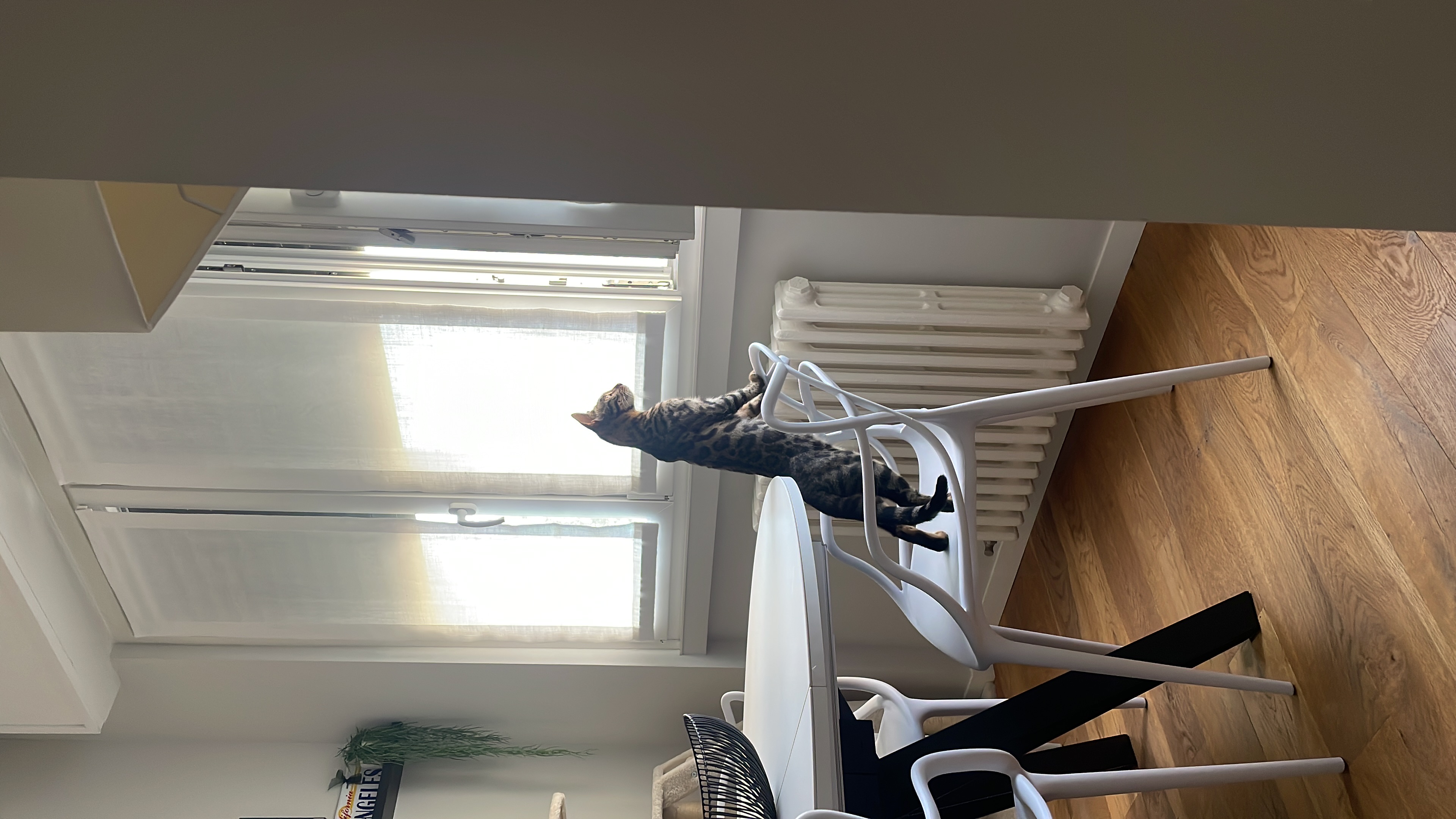 image-6