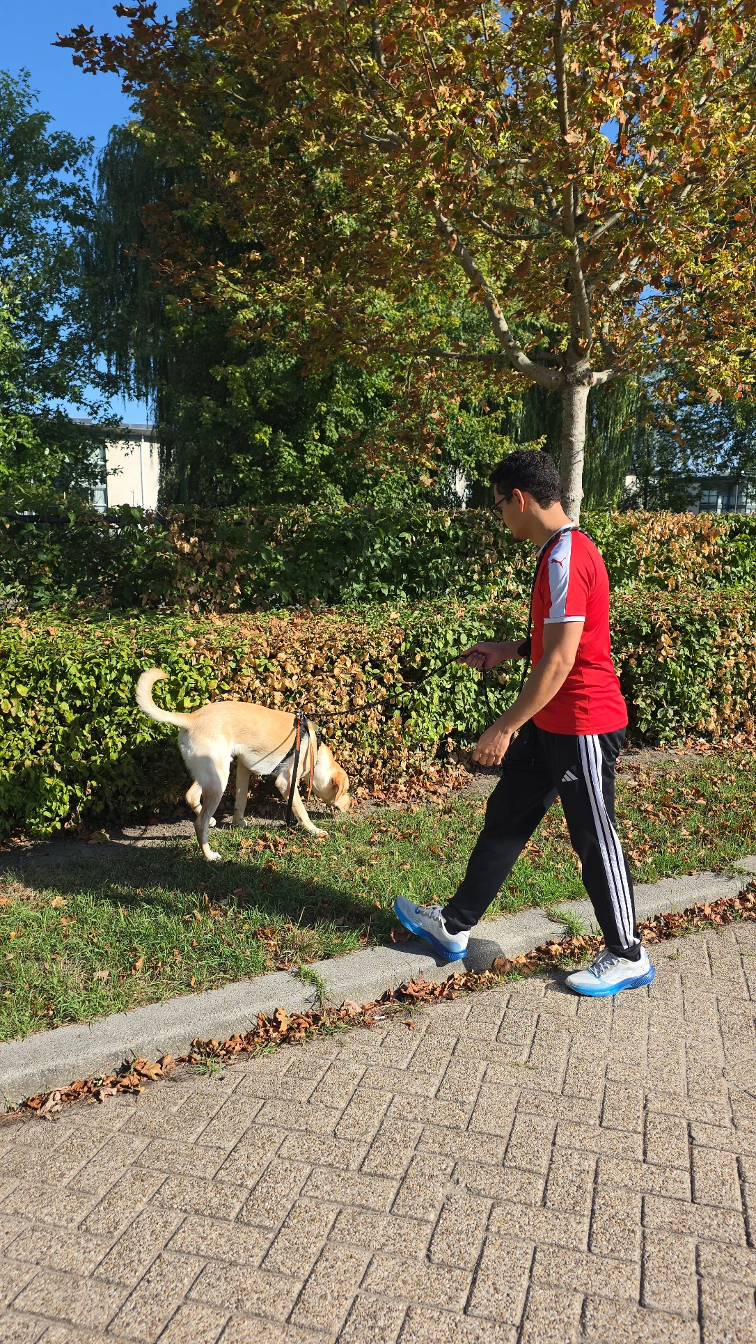 image-20