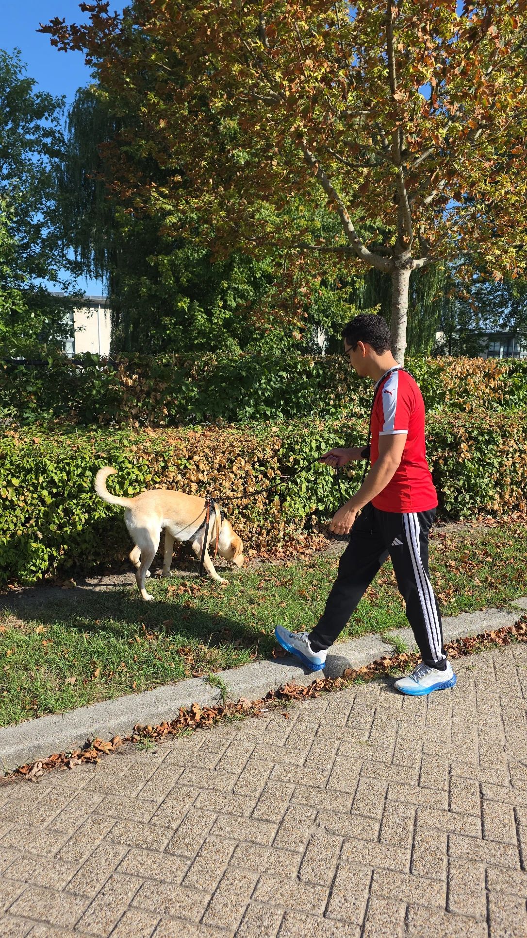 image-20