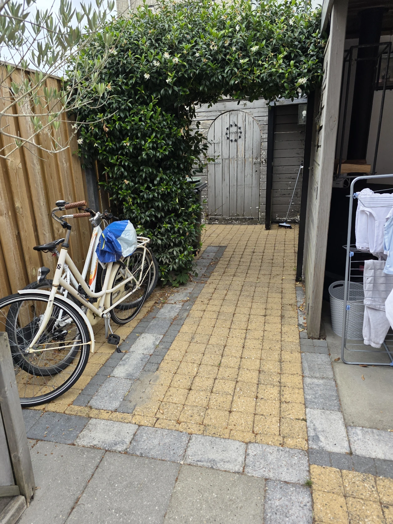 image-10