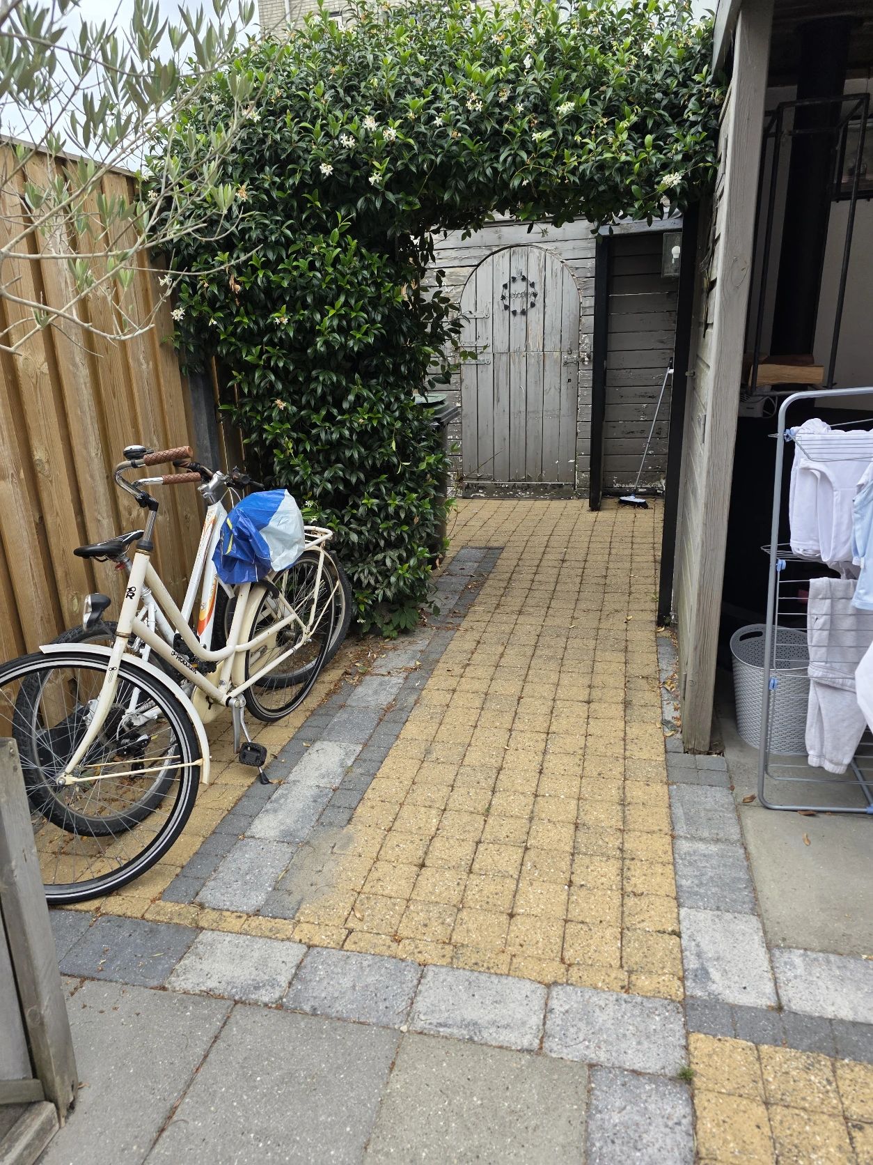image-10