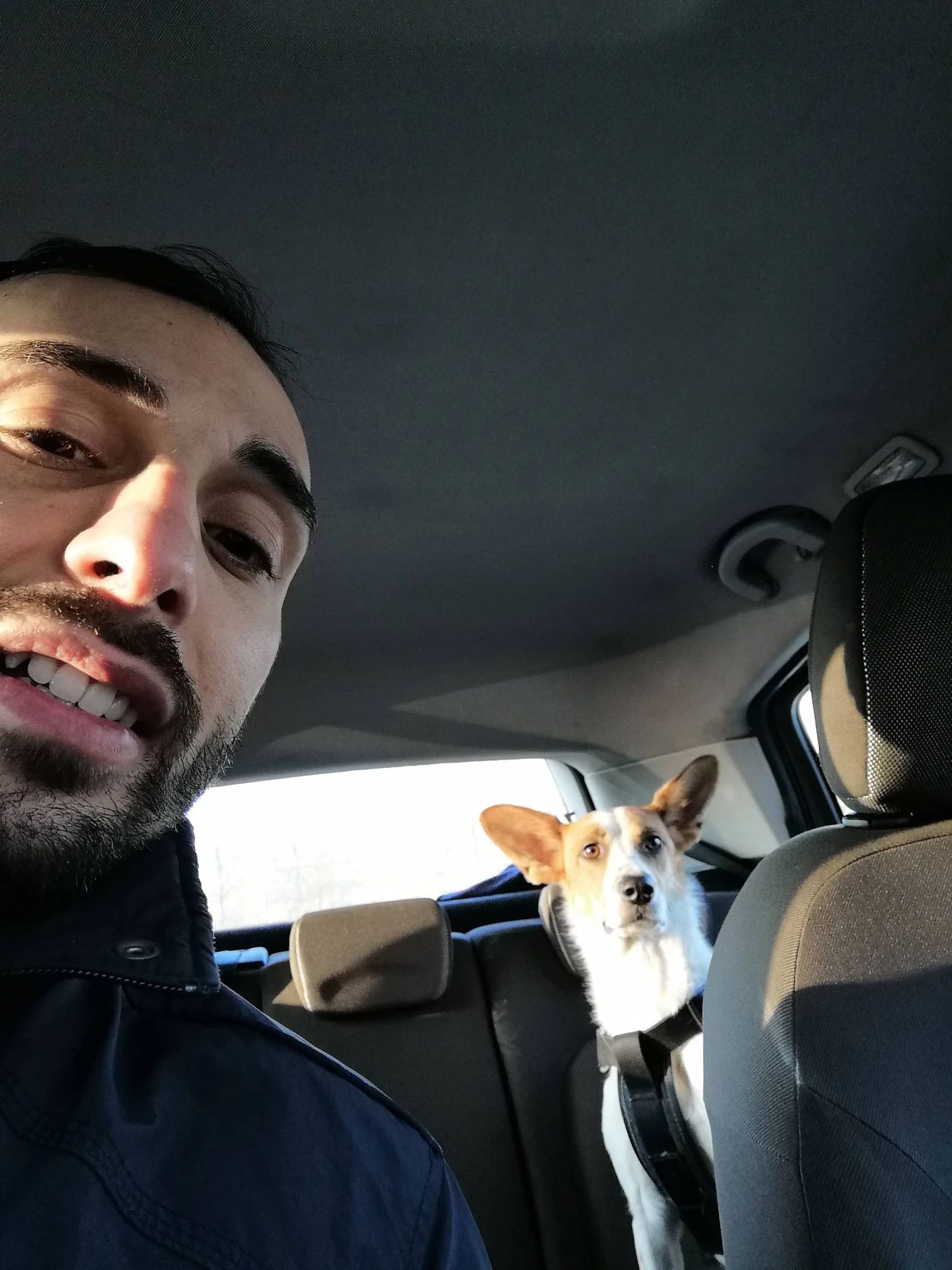 image-7