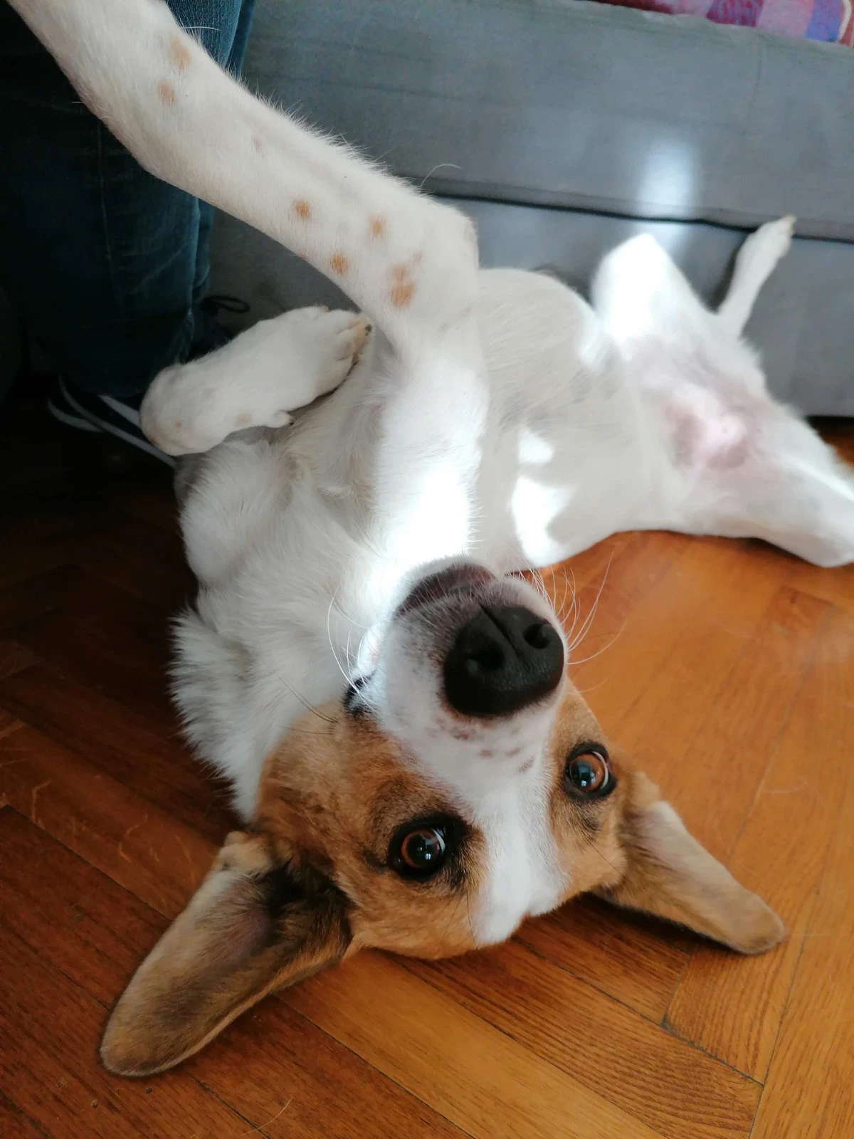 image-5