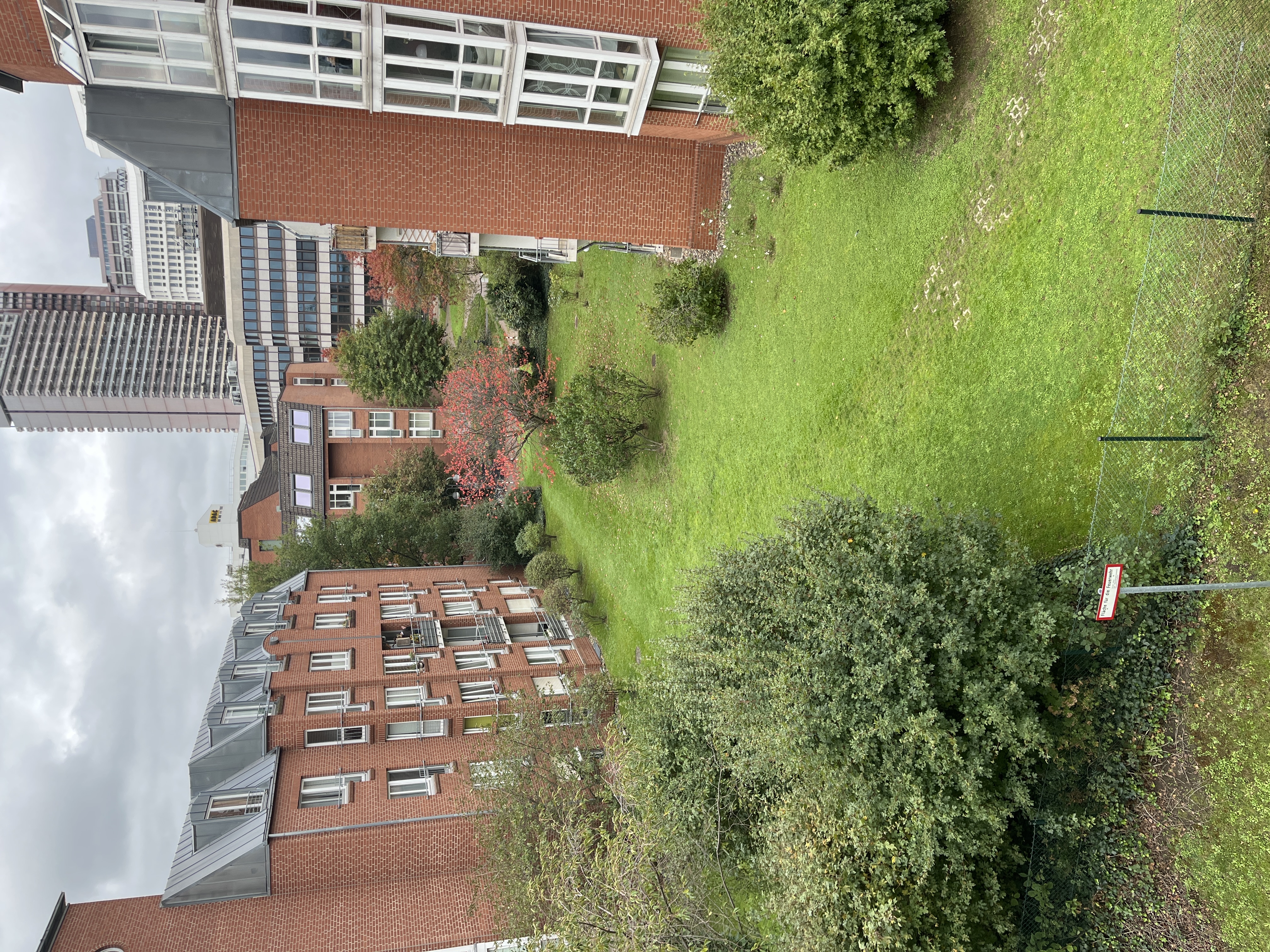 image-23
