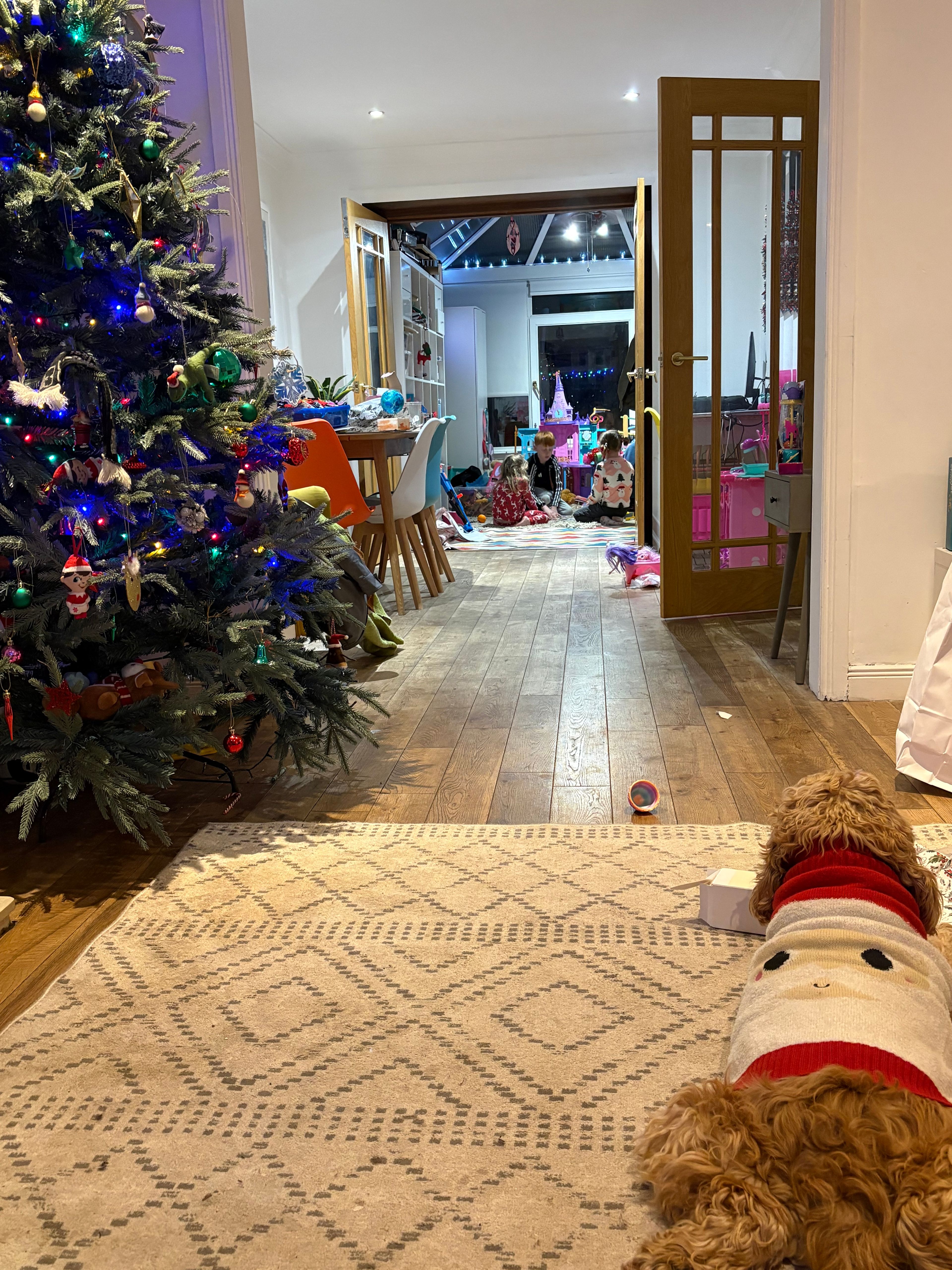 image-12