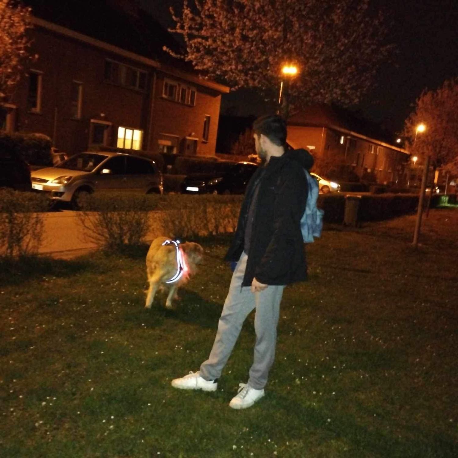 image-7
