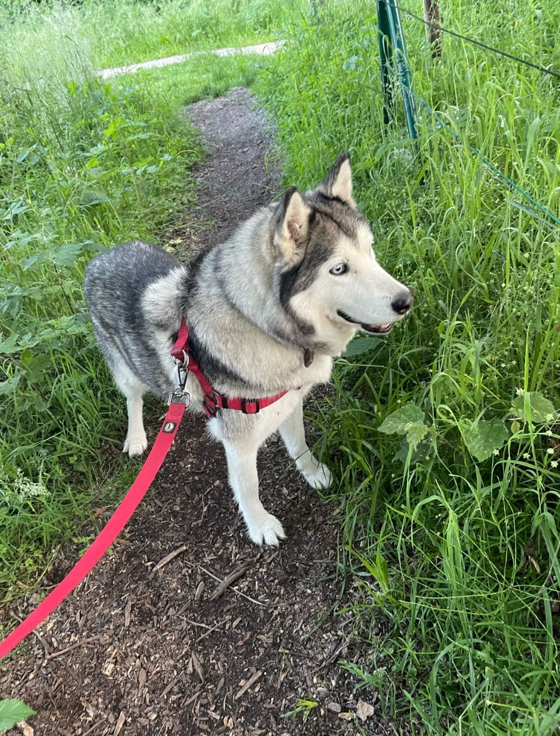 image-8