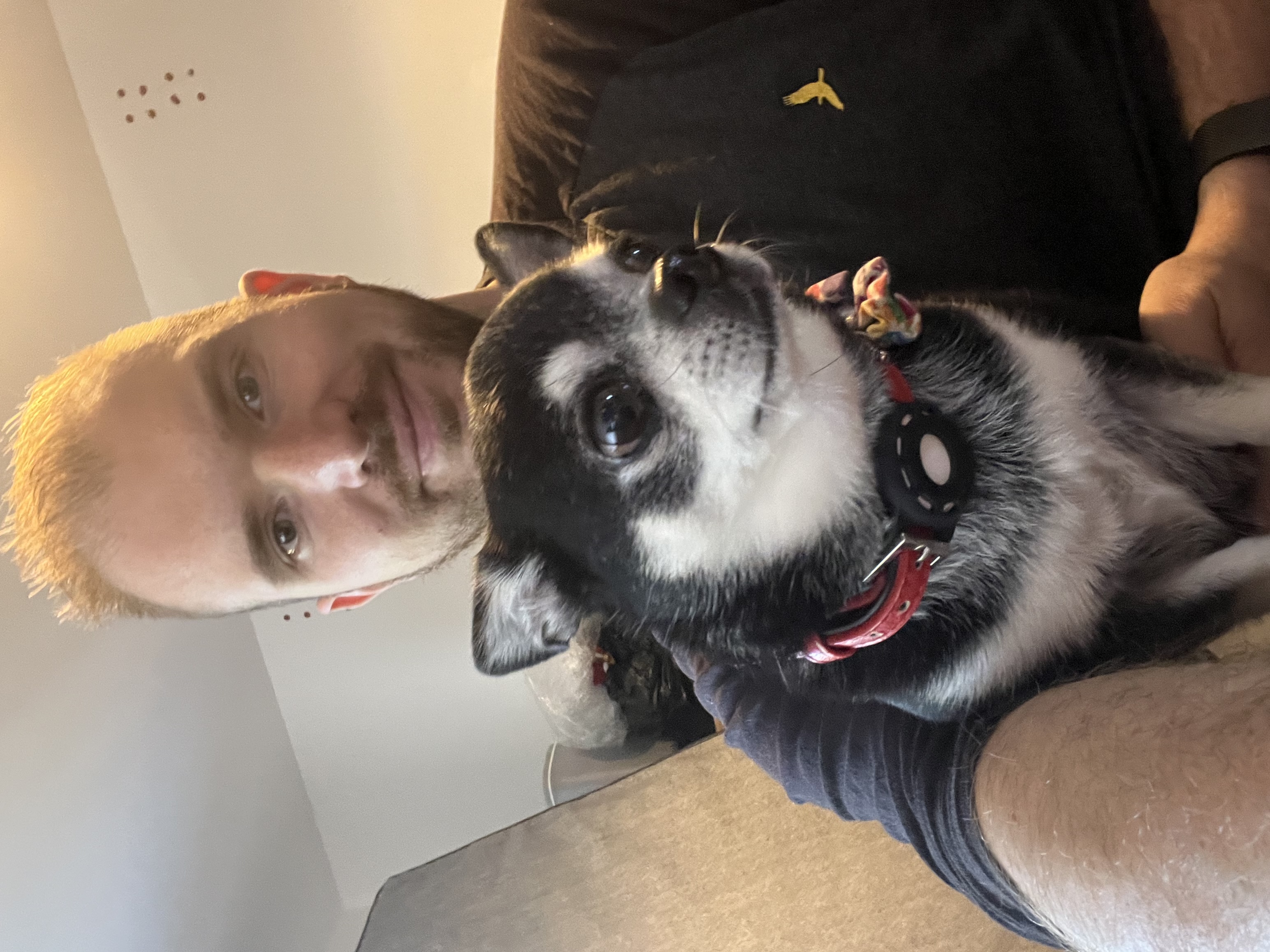 image-8