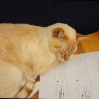 Tiberius