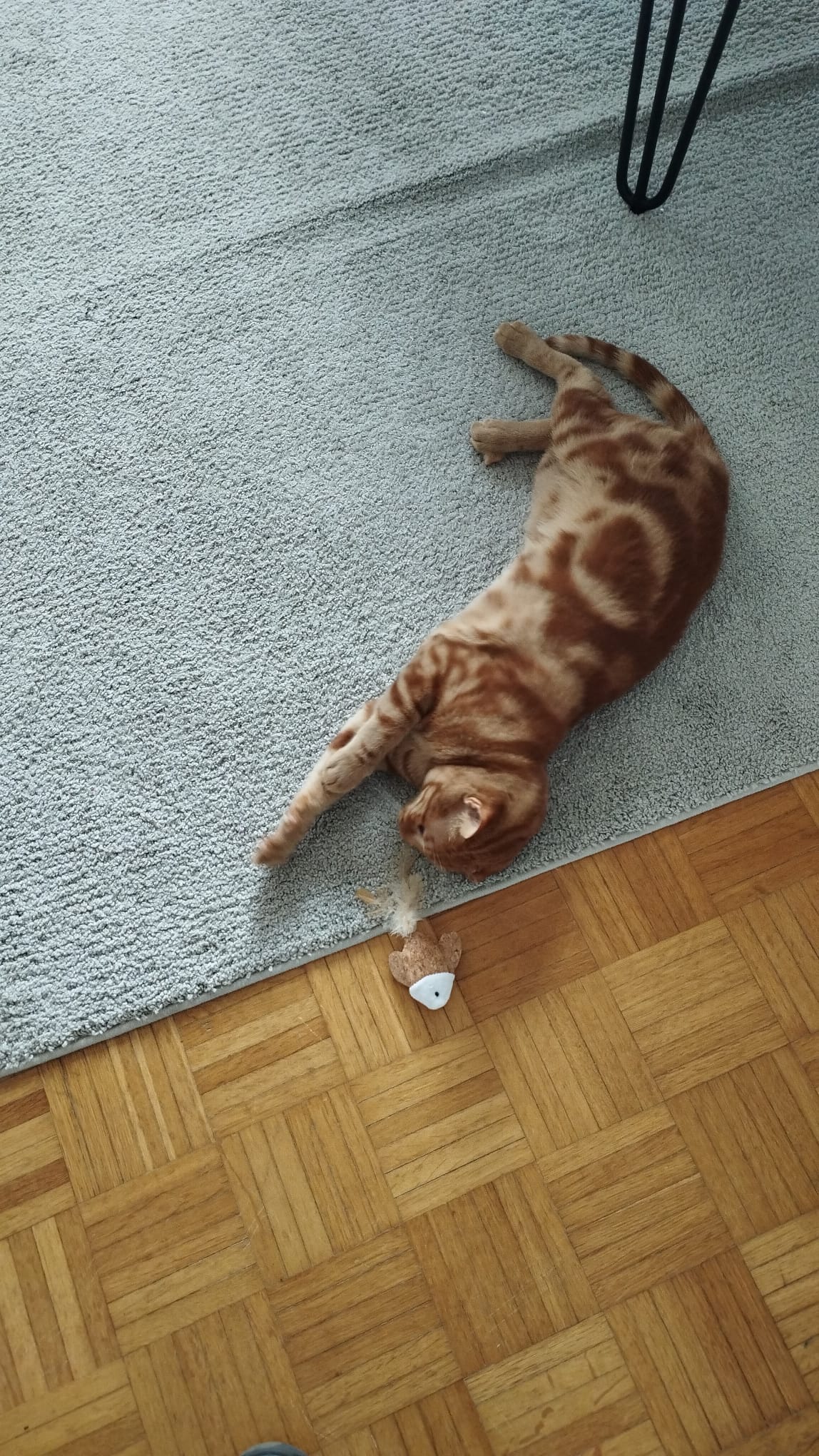 image-10