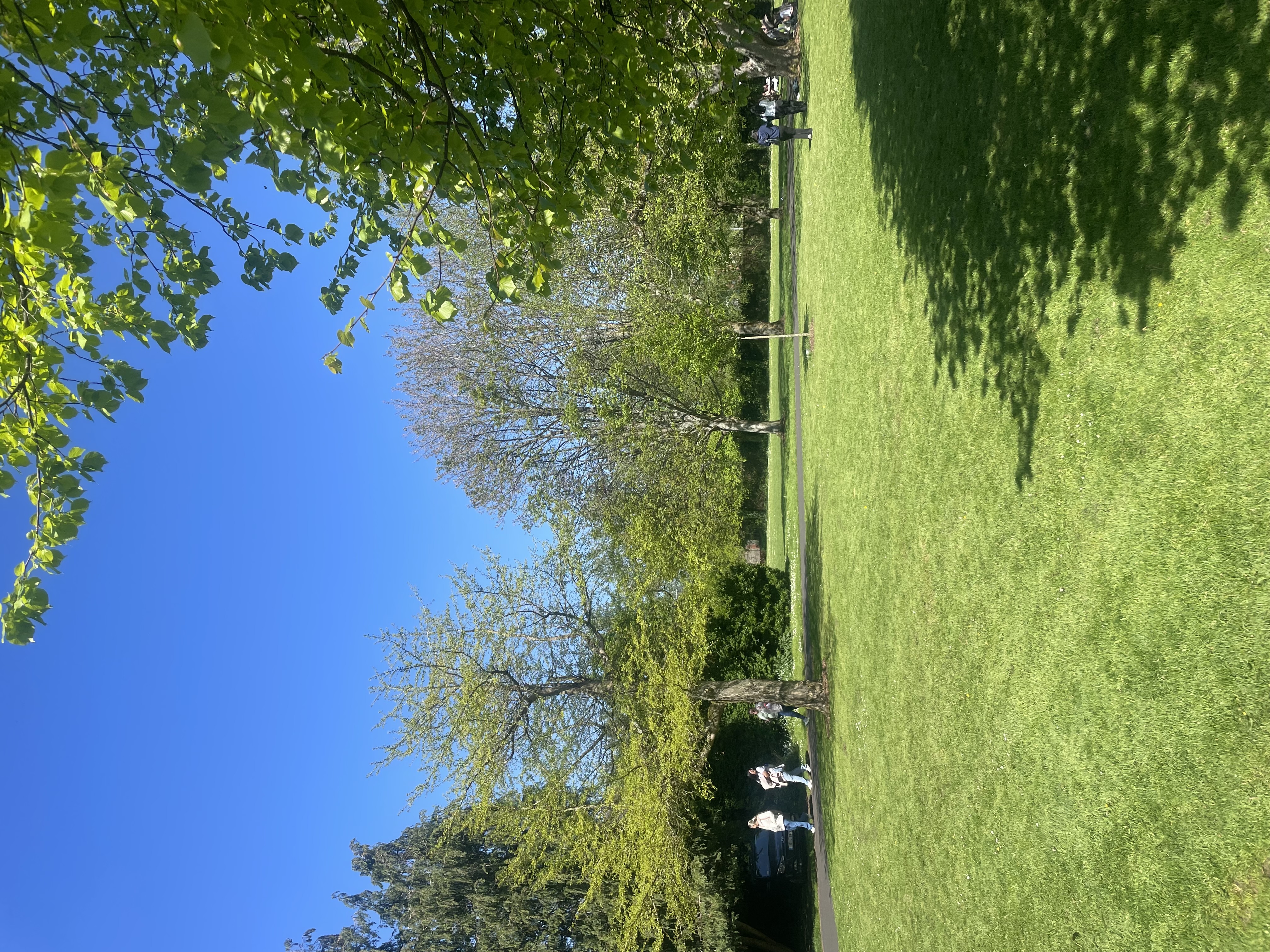 image-23