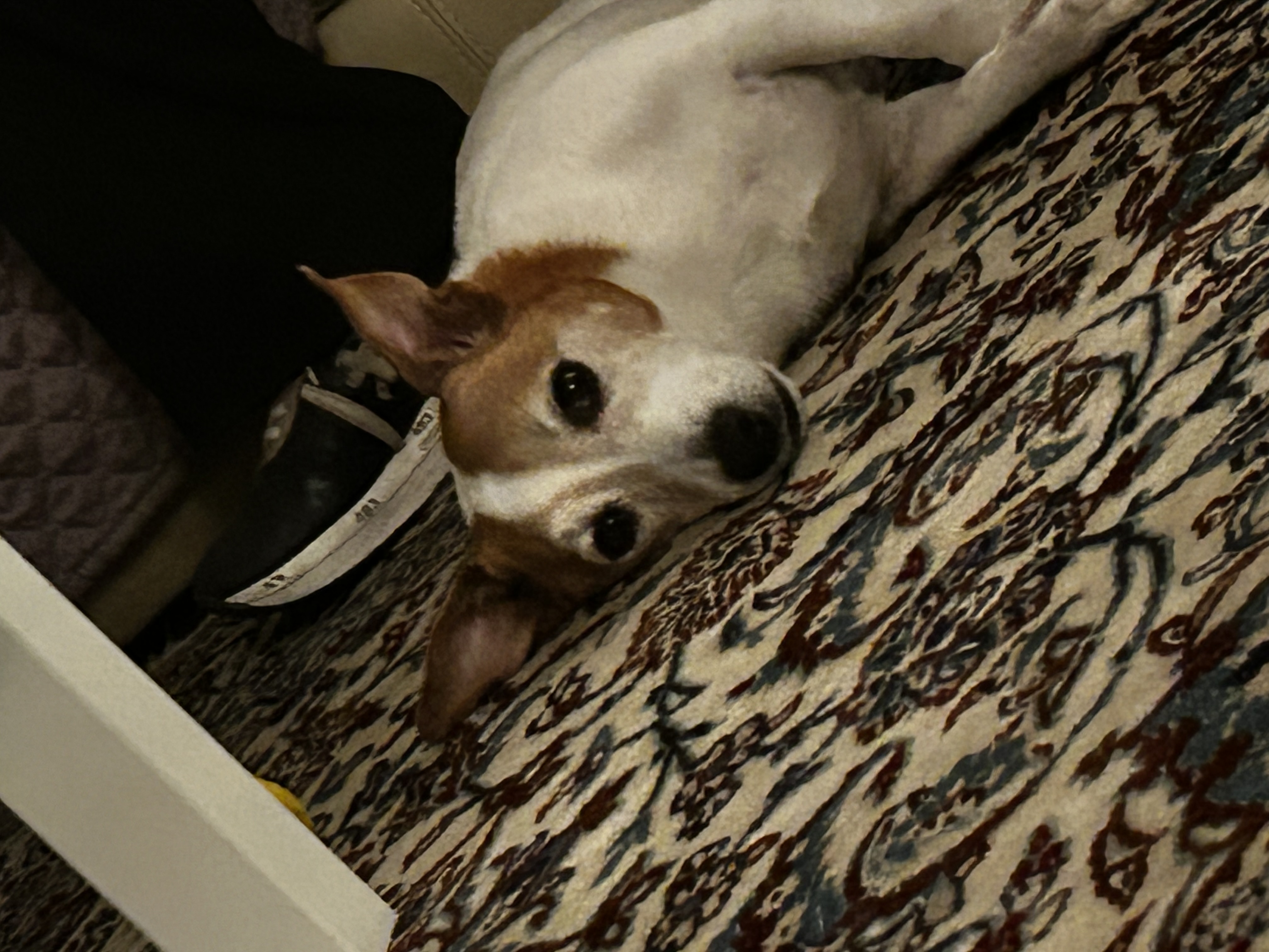 image-5