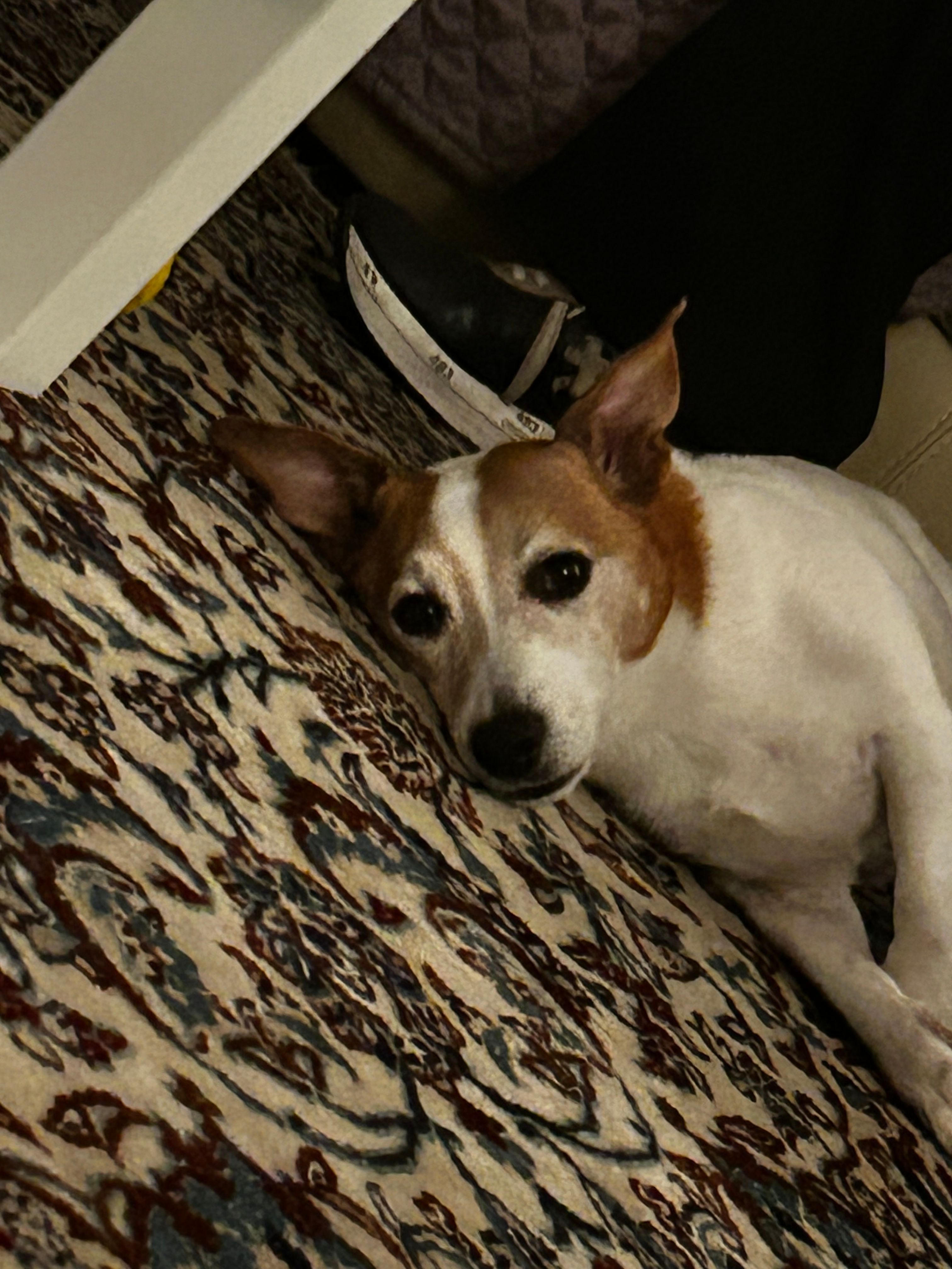 image-5