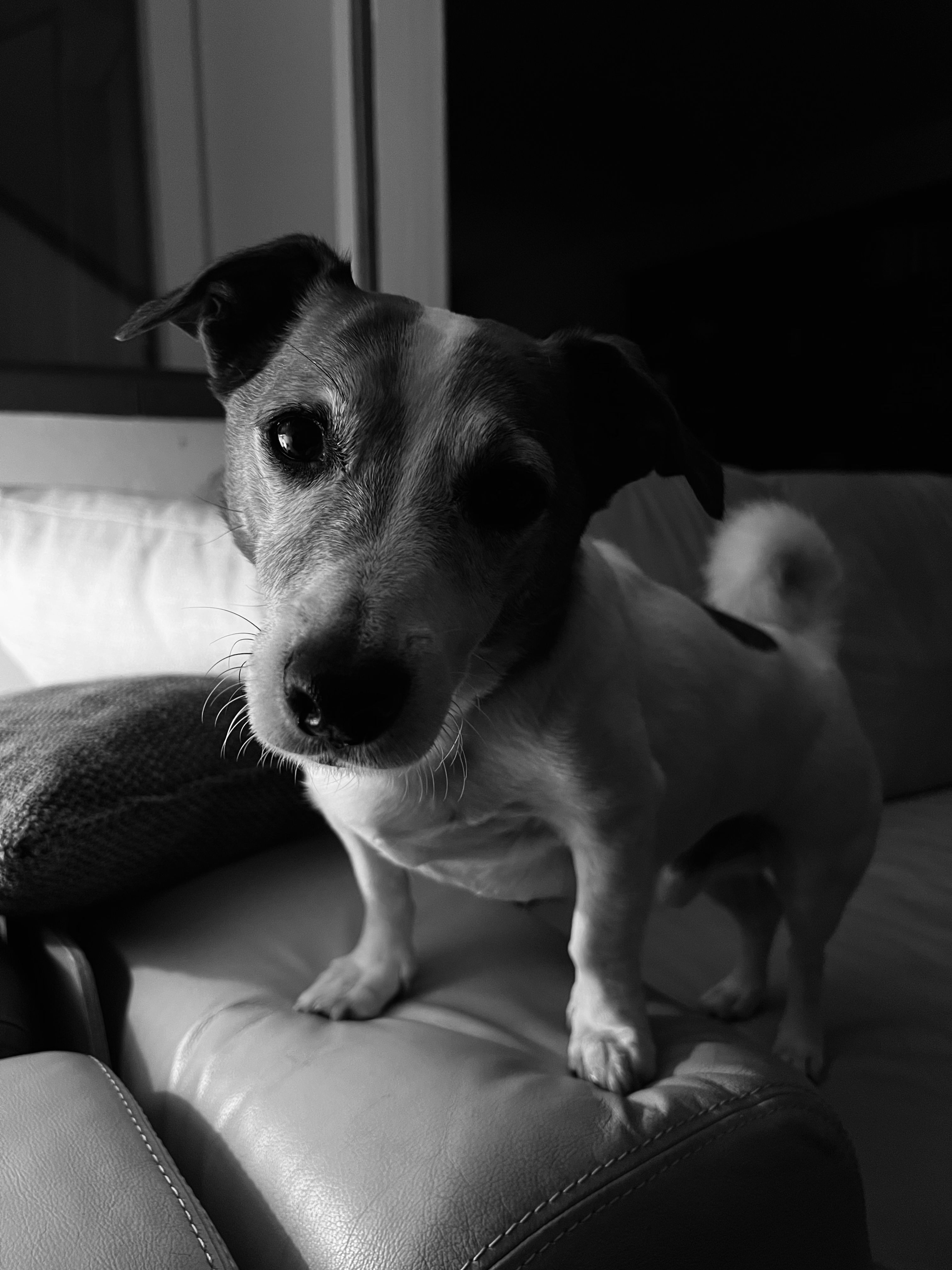 image-8