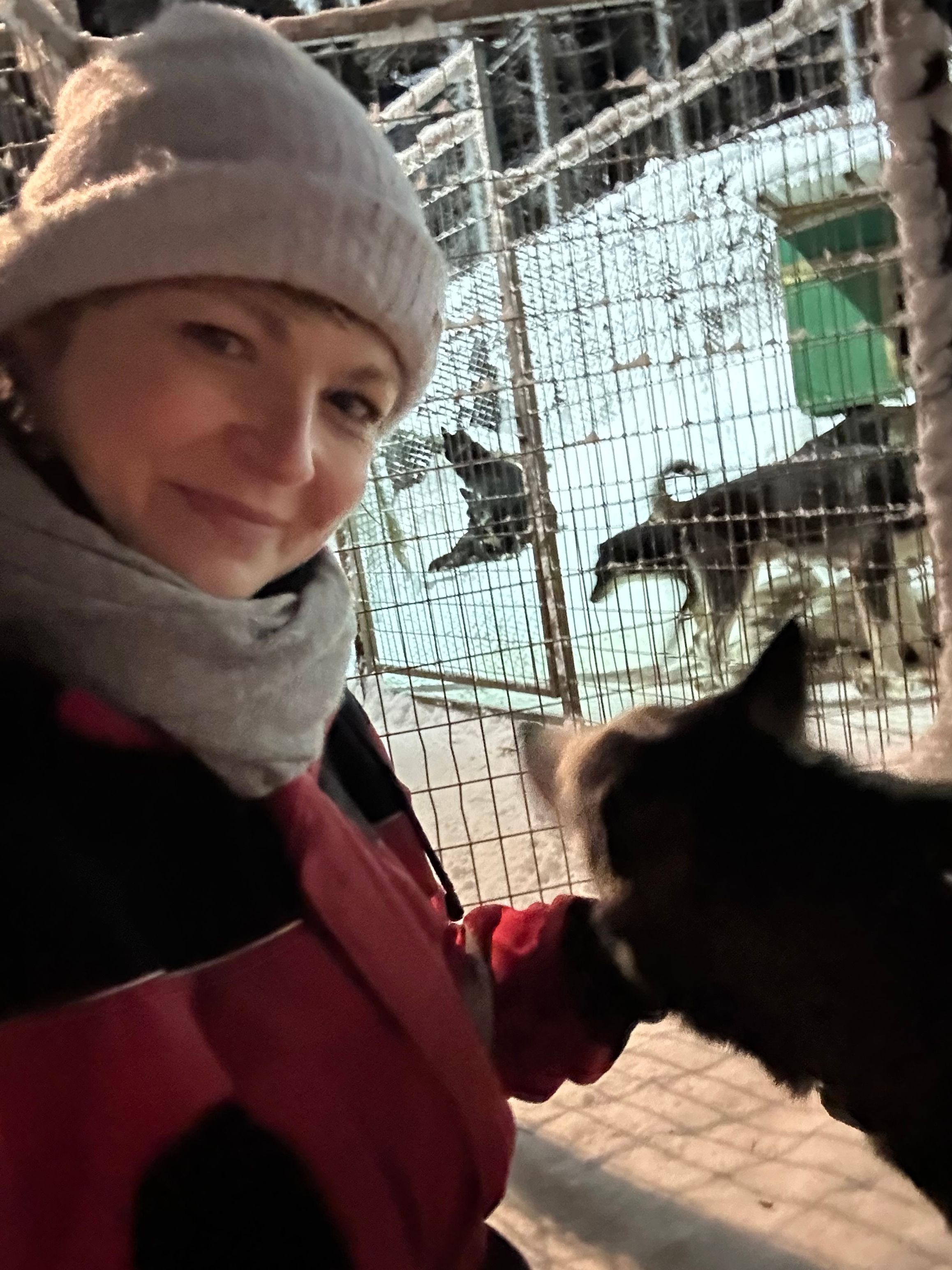 image-3