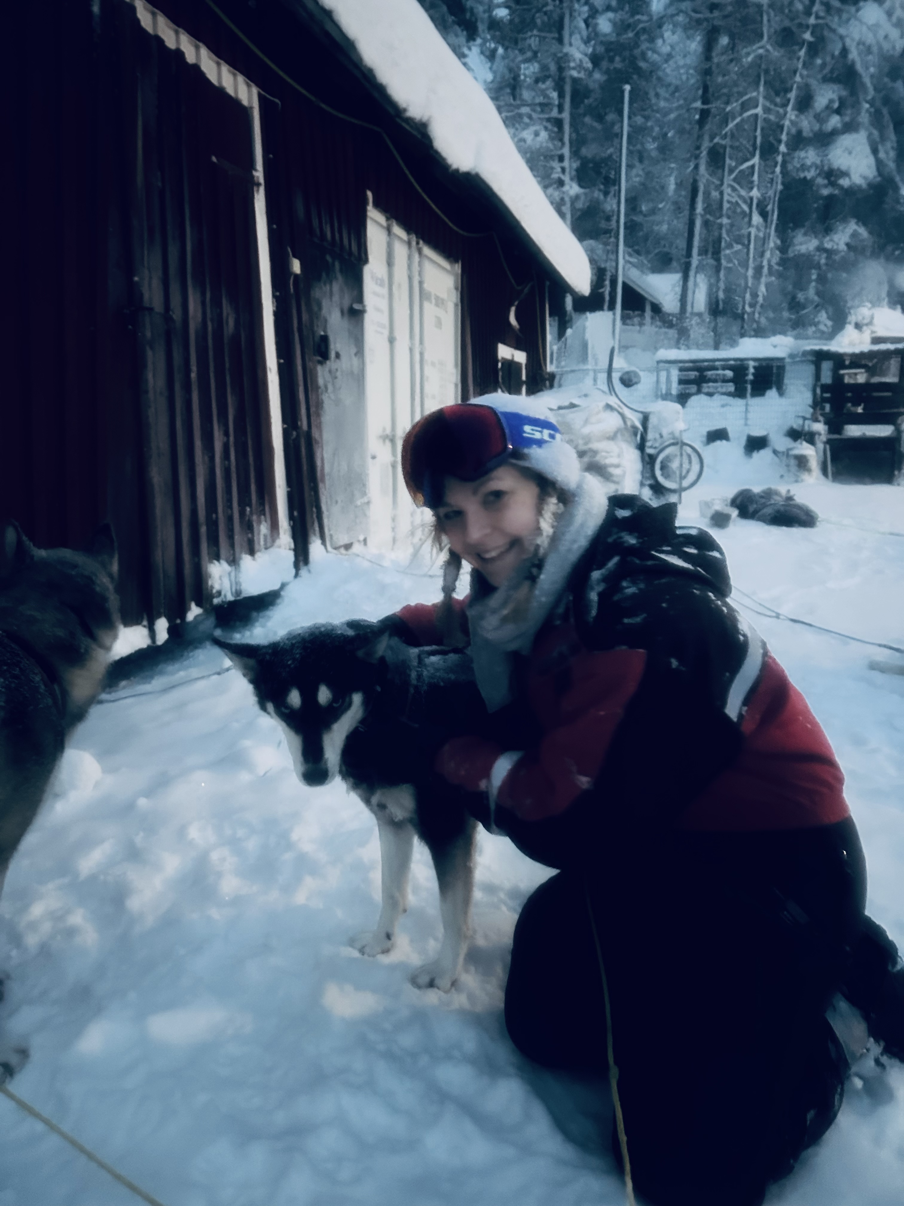 image-6