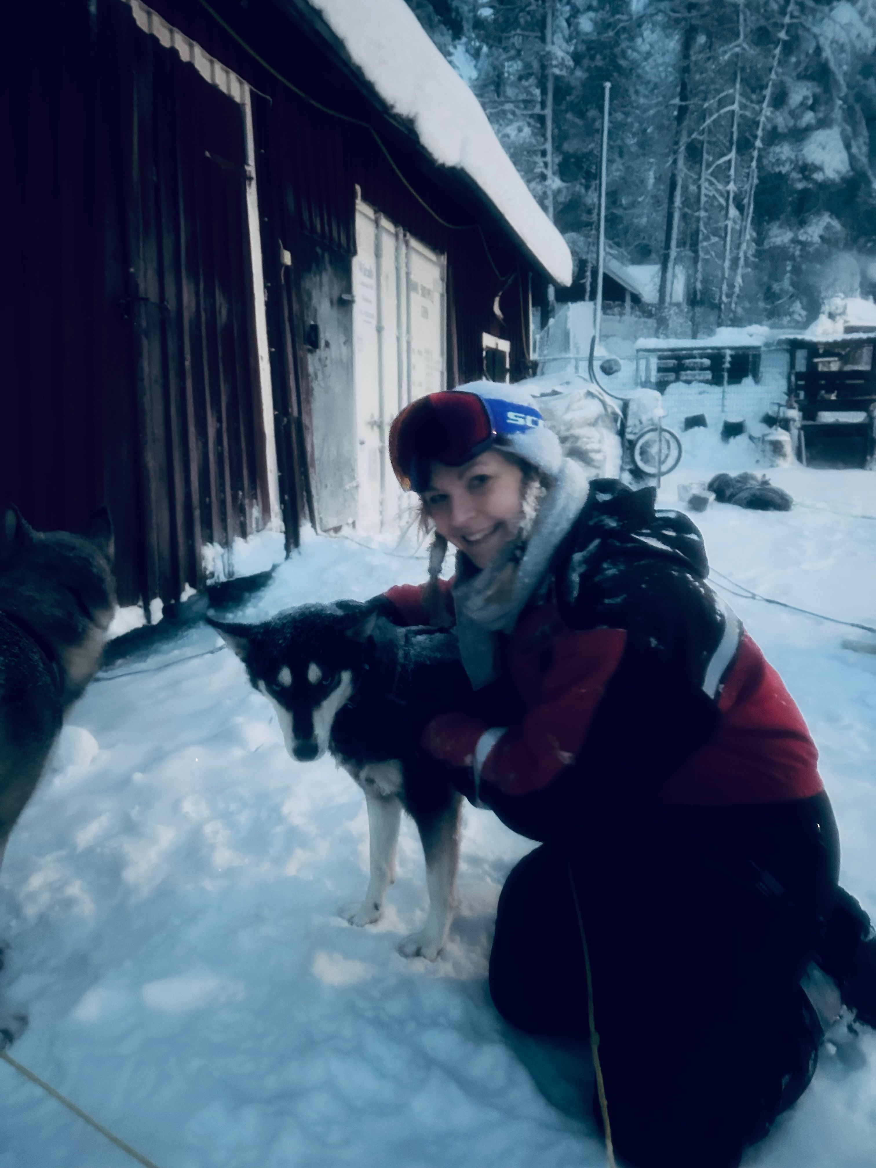 image-6