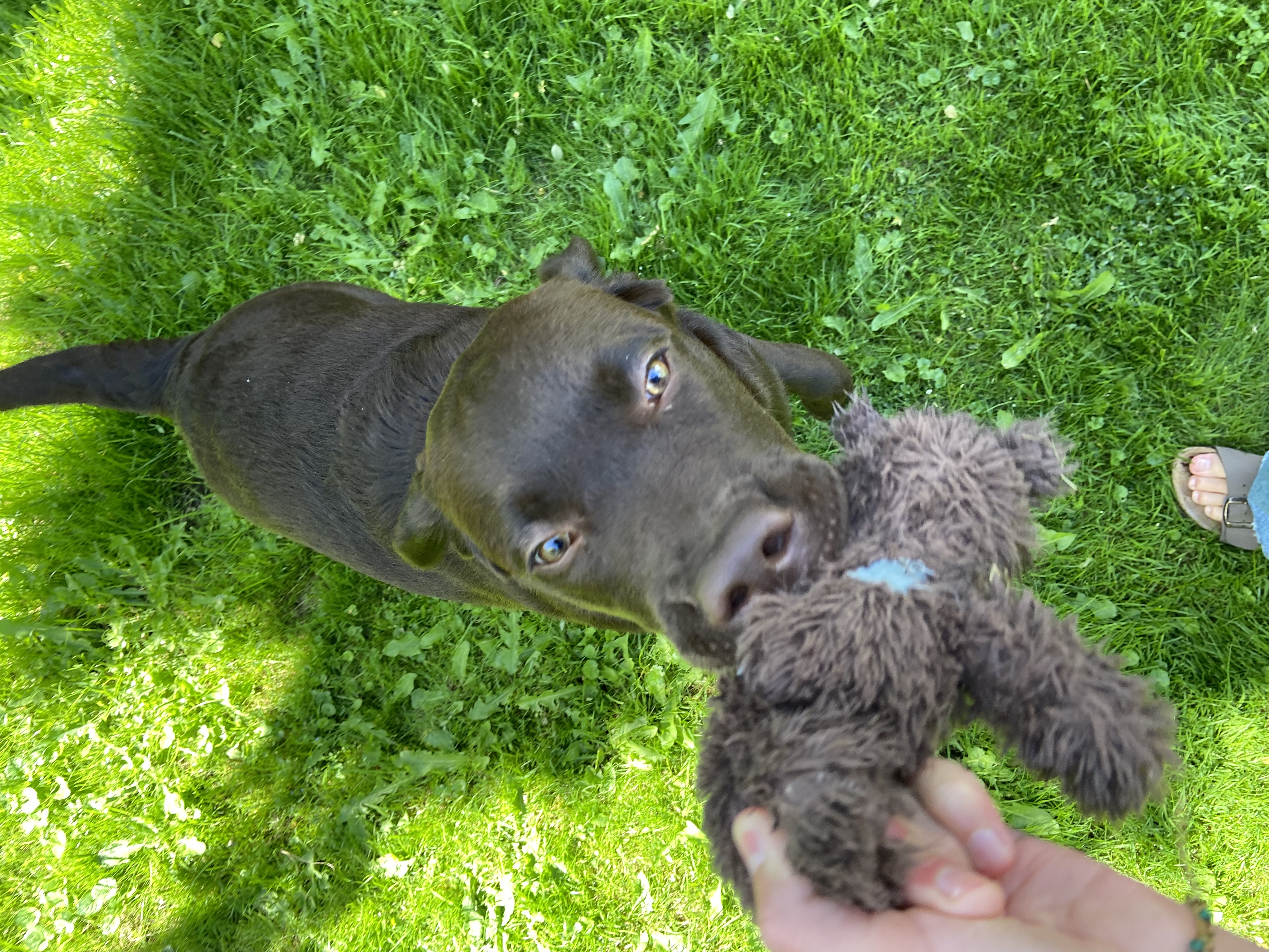 image-5