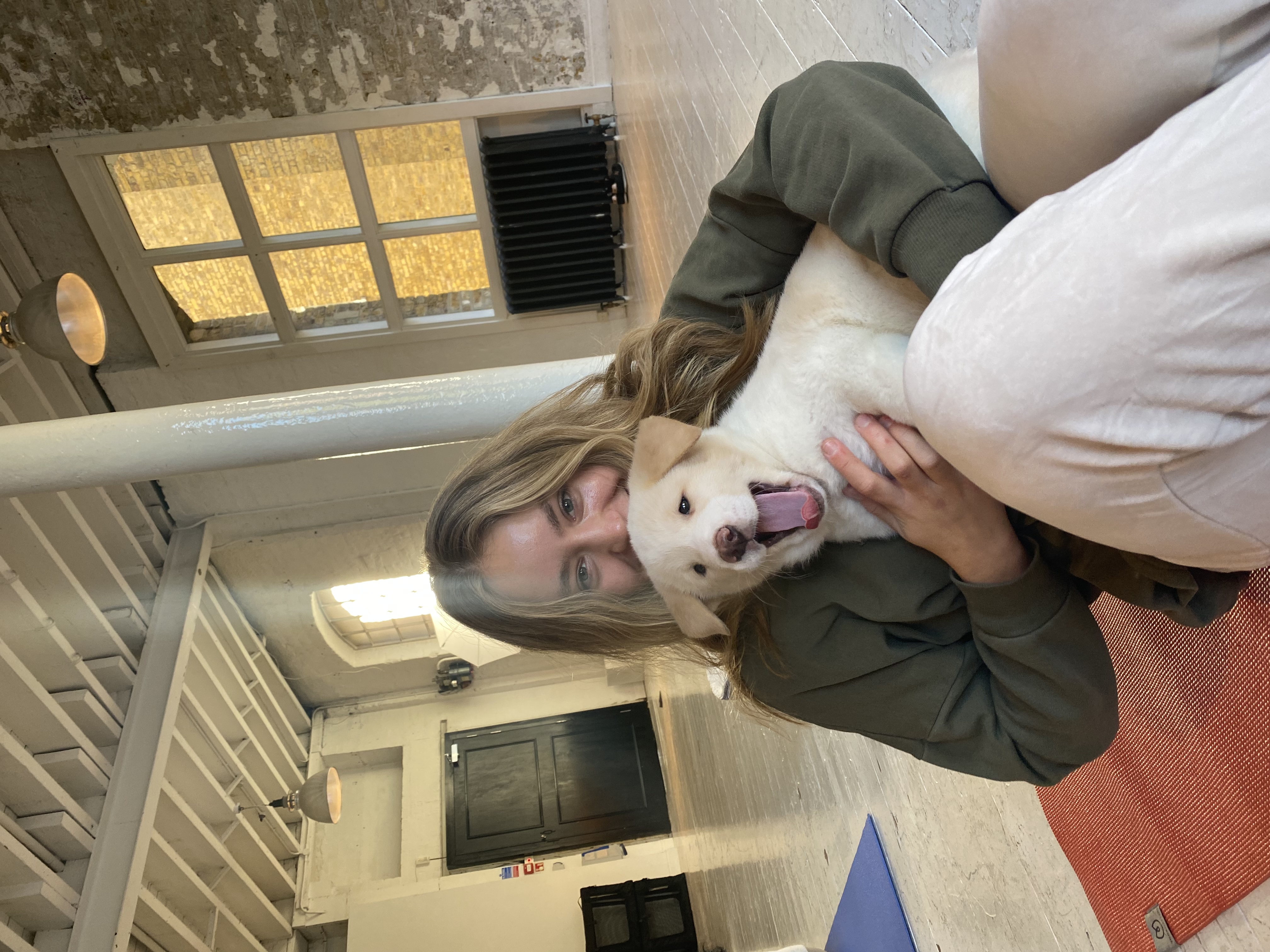 image-7