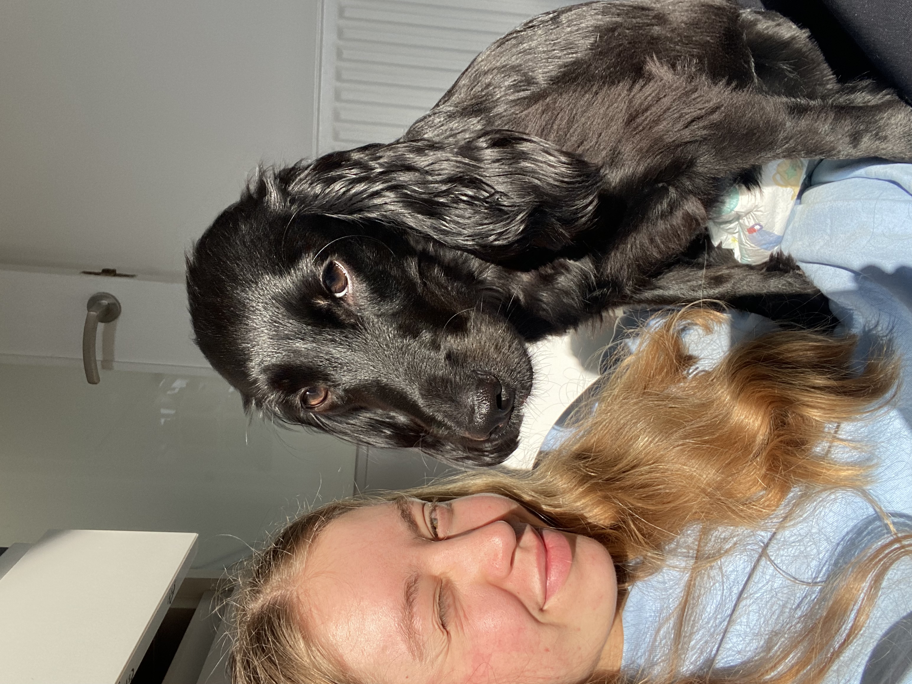 image-9