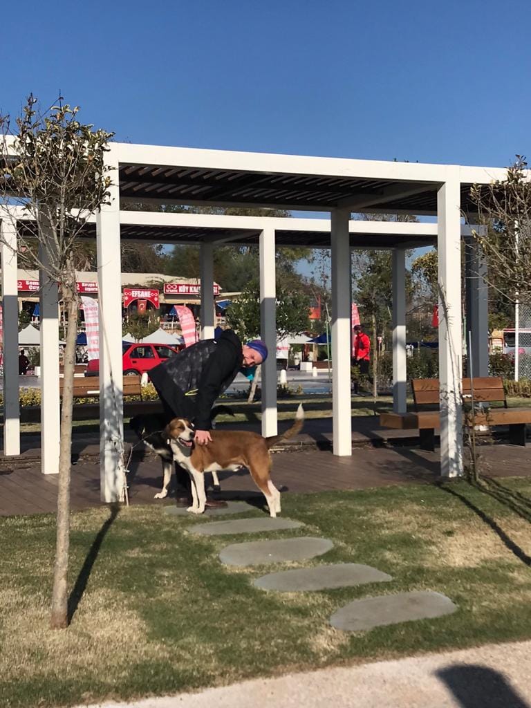 image-5