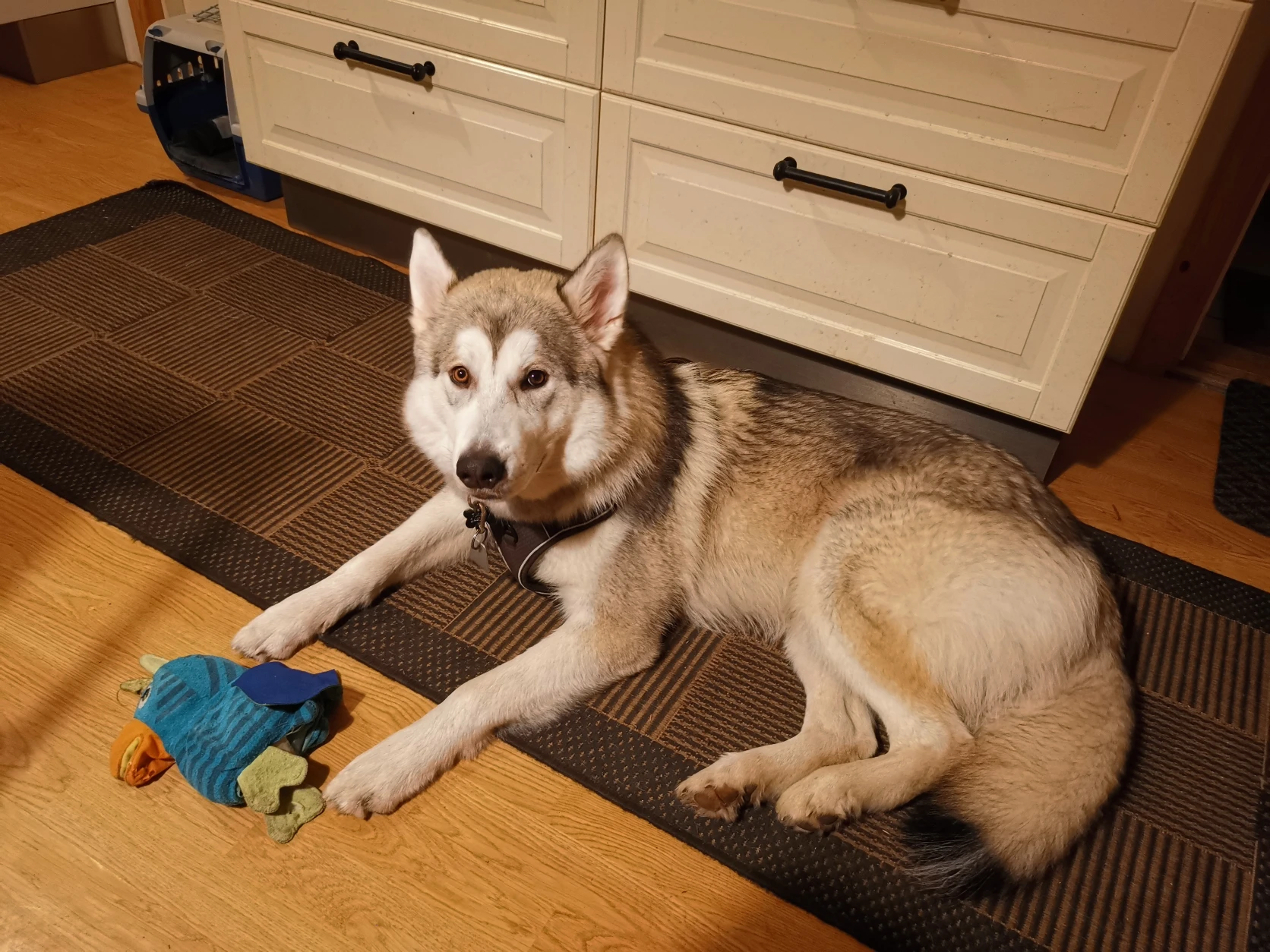 image-17