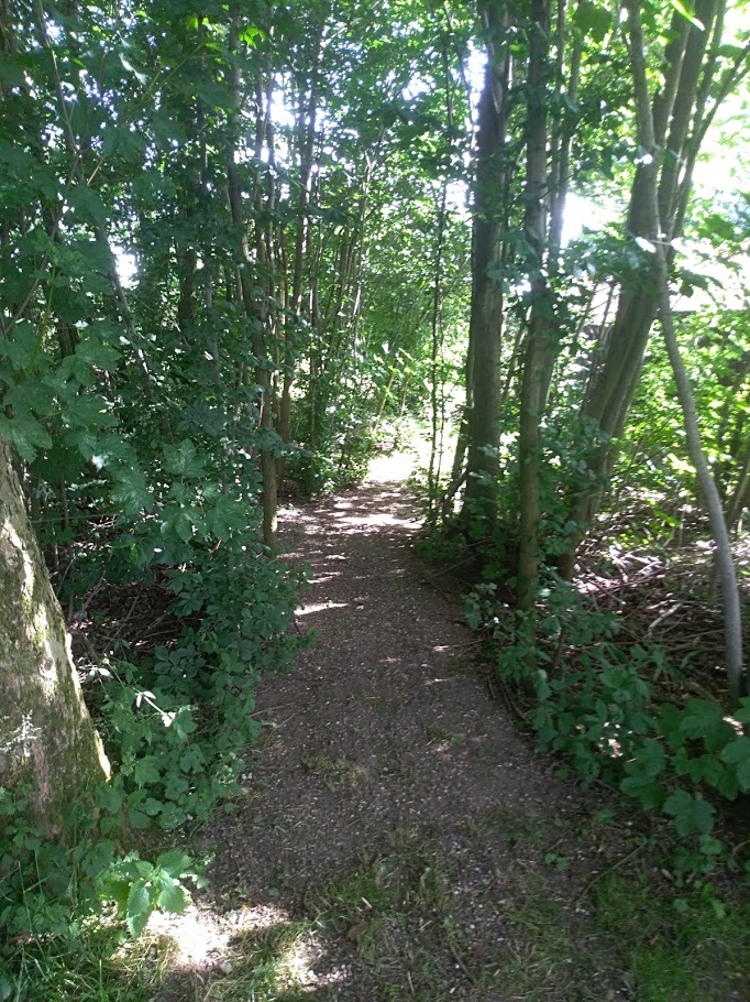 image-5