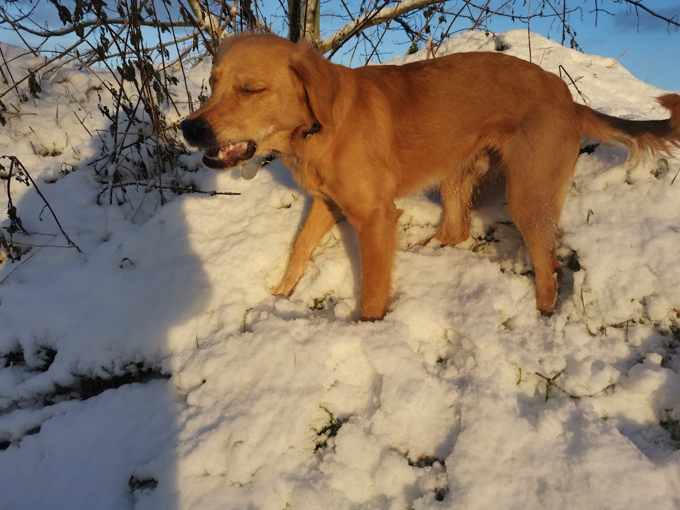 image-7