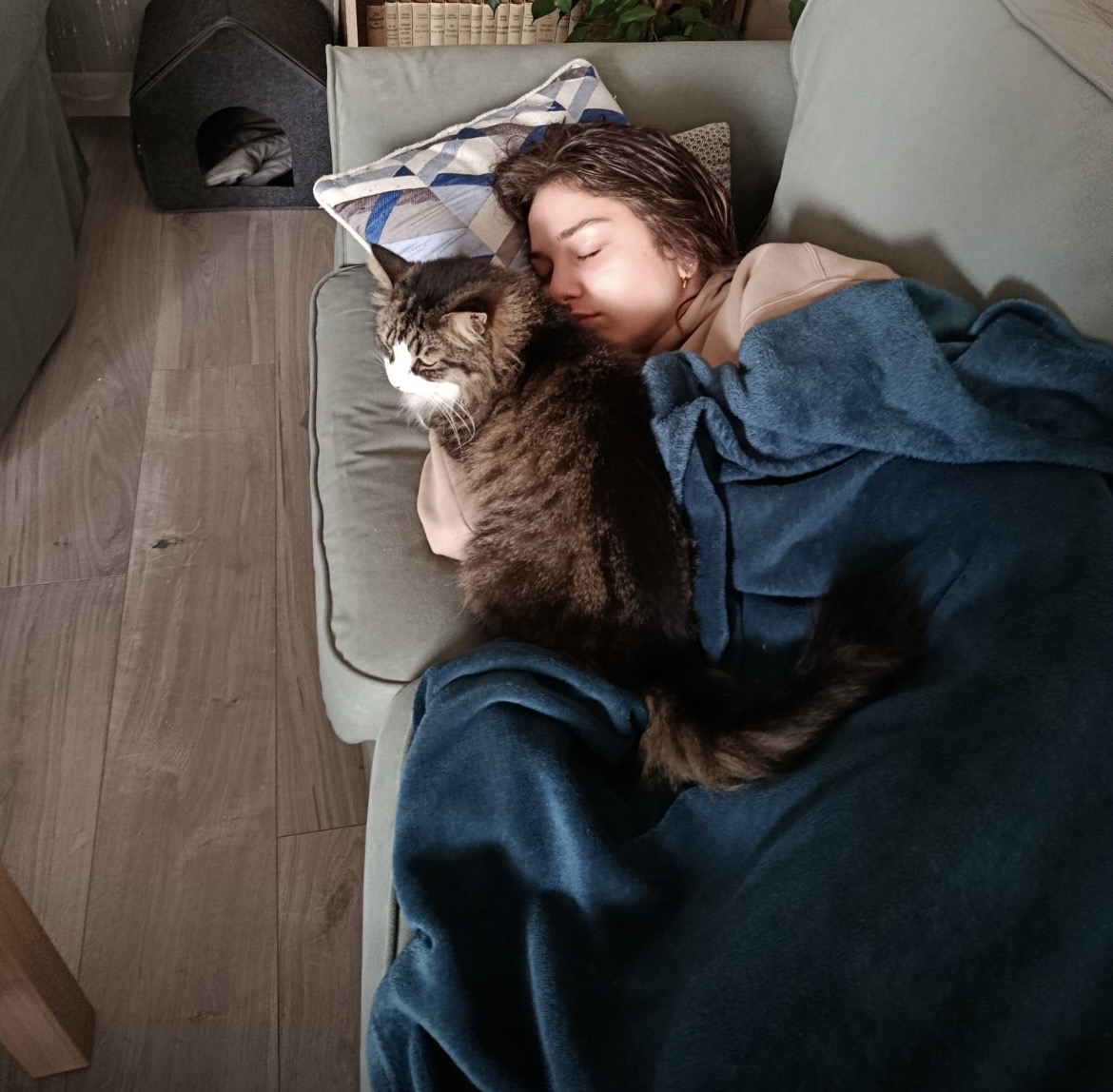image-11
