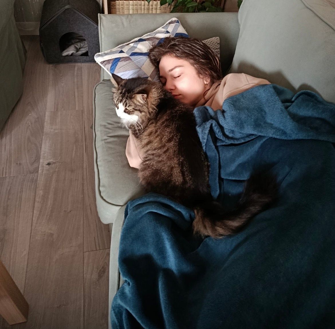 image-11