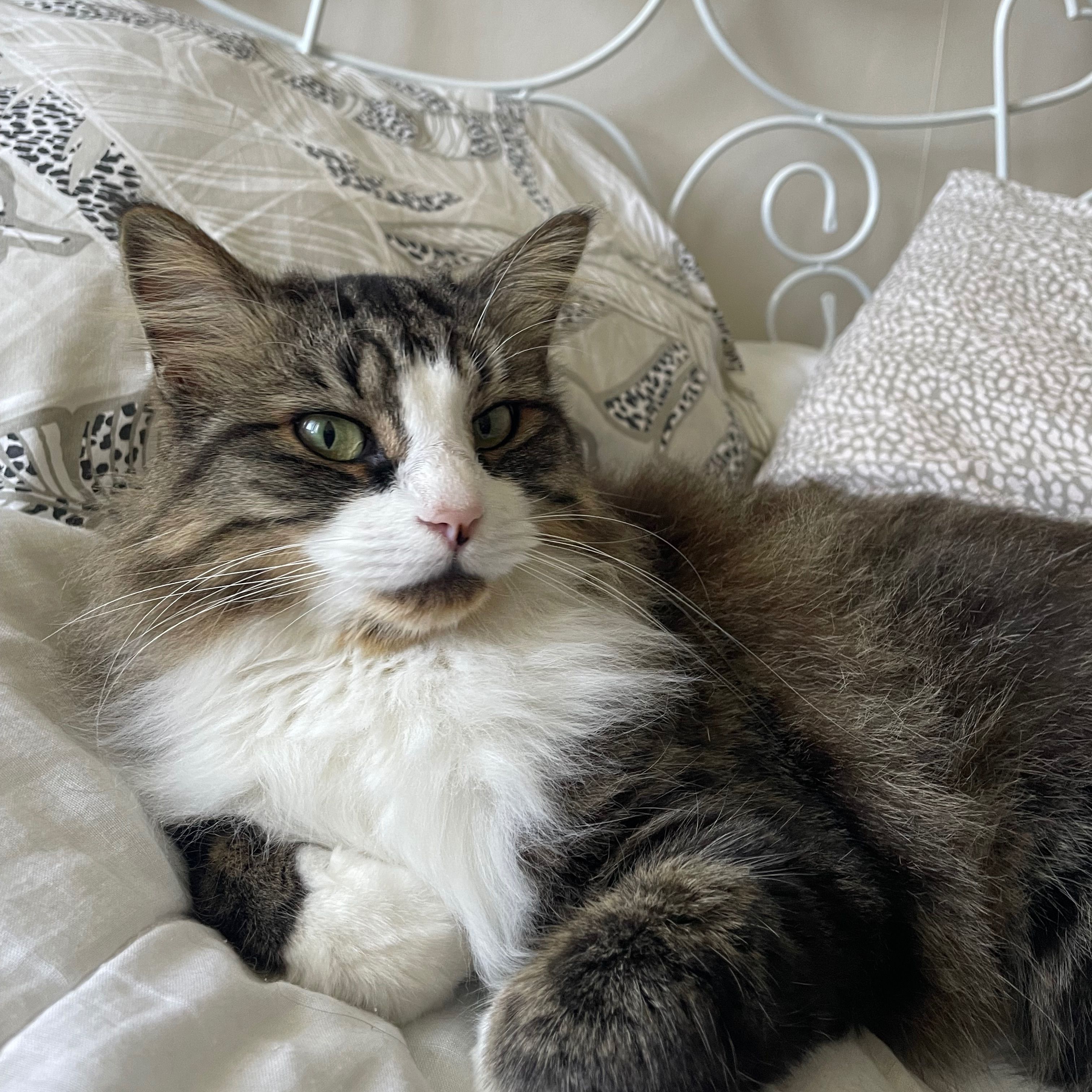 Maggie