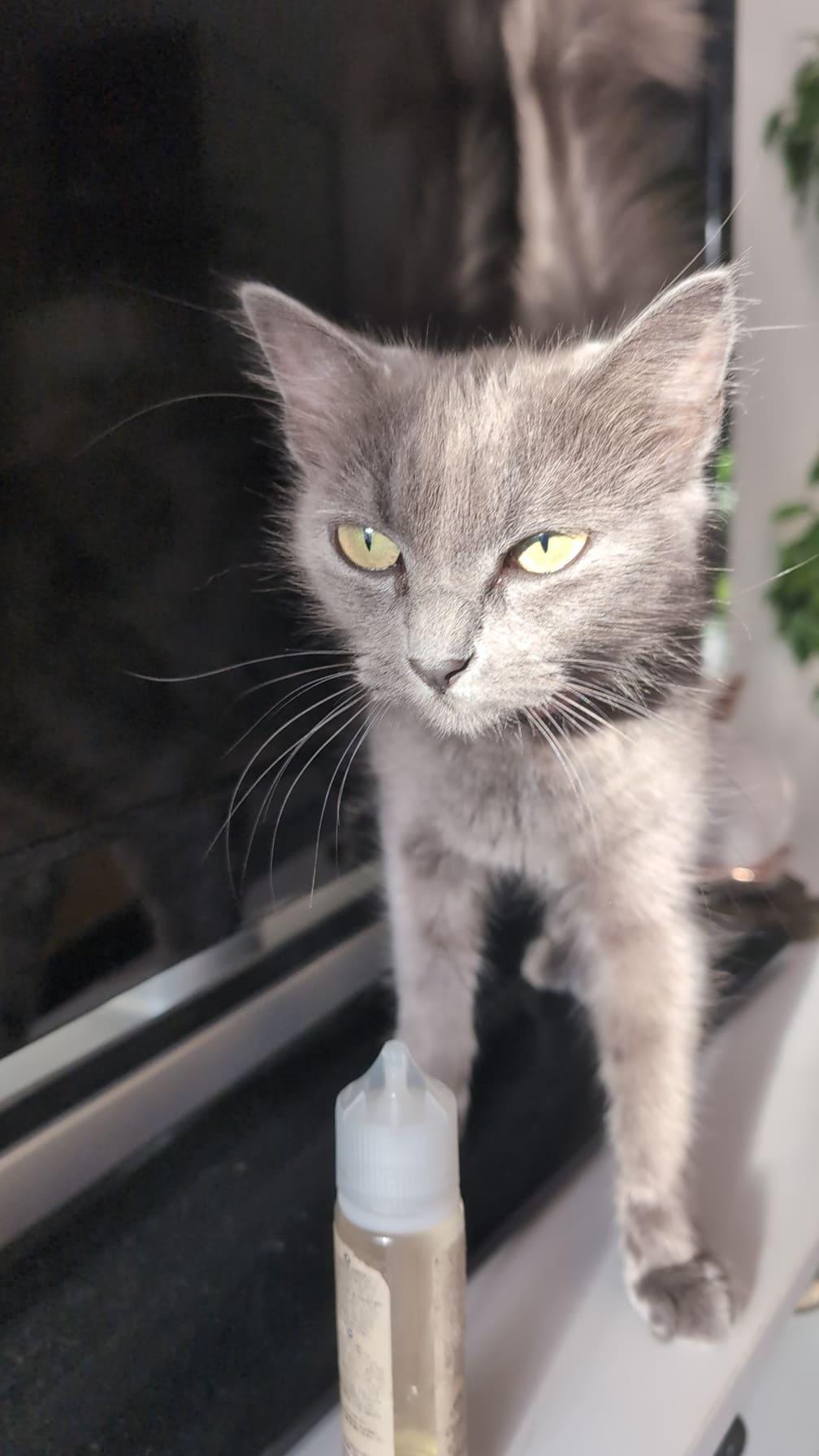image-4