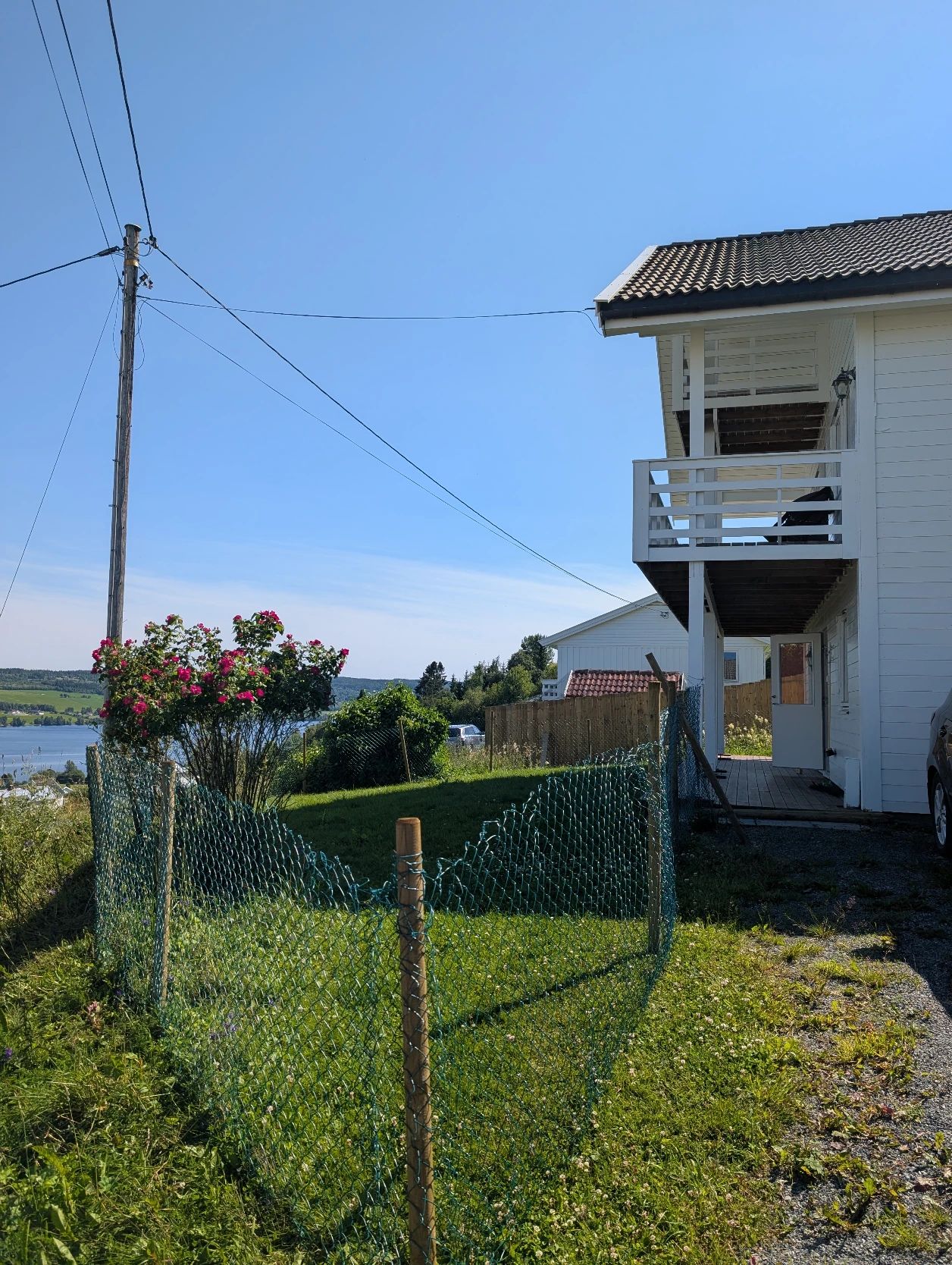image-14