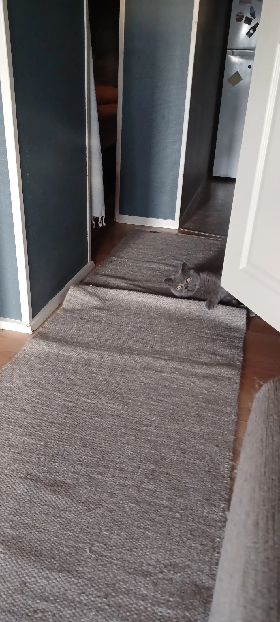 image-13