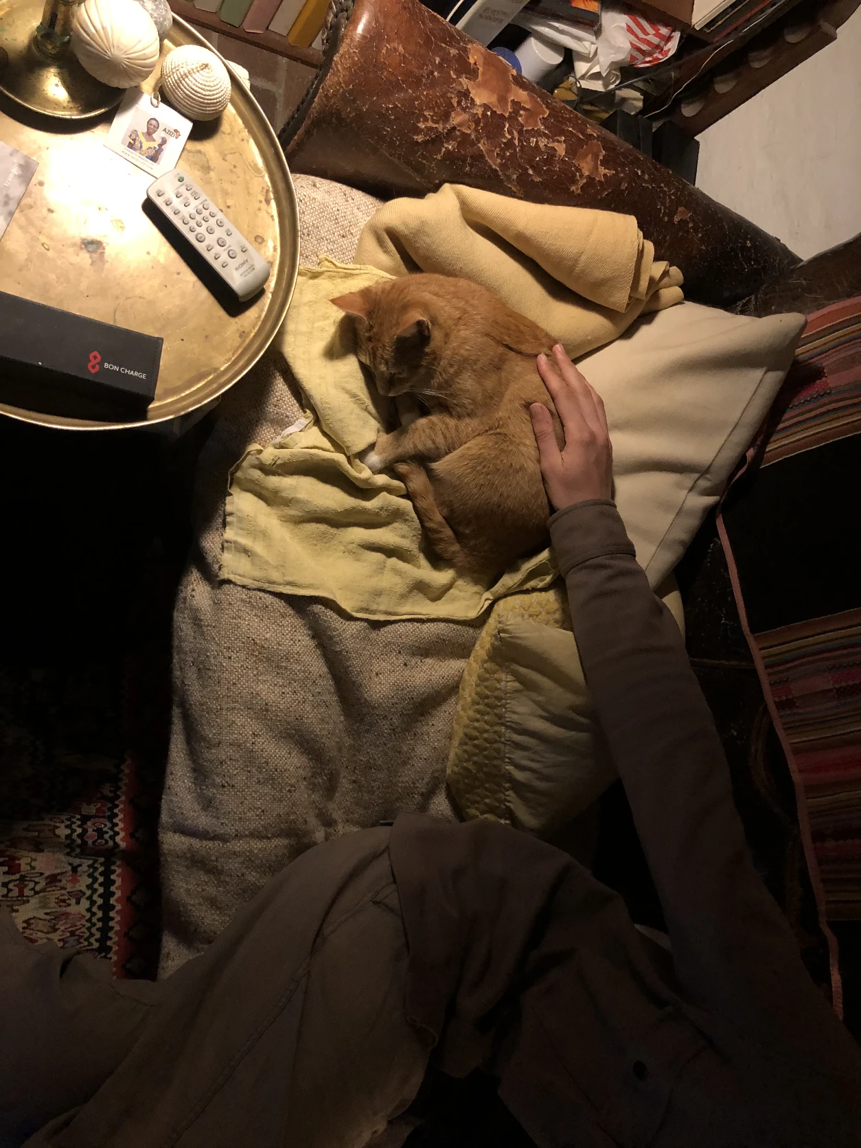 image-7