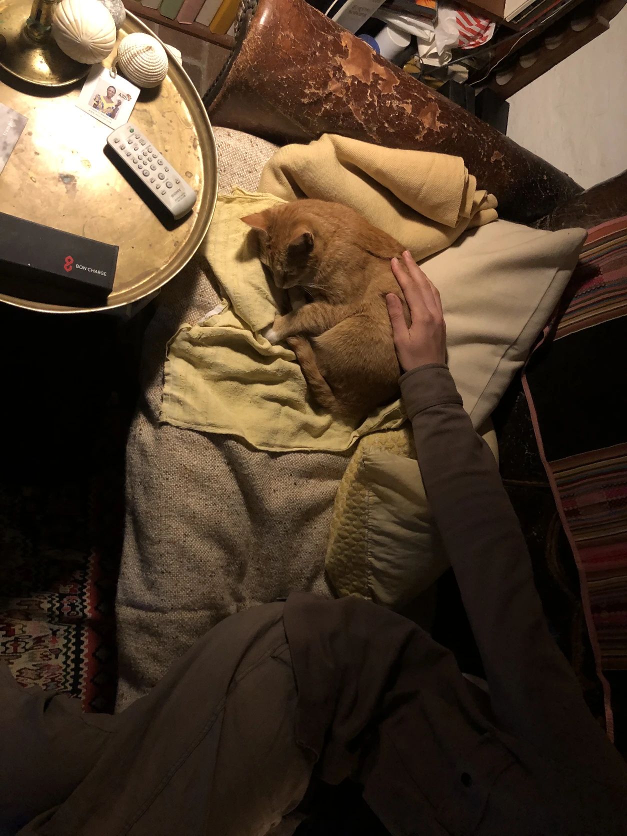 image-7