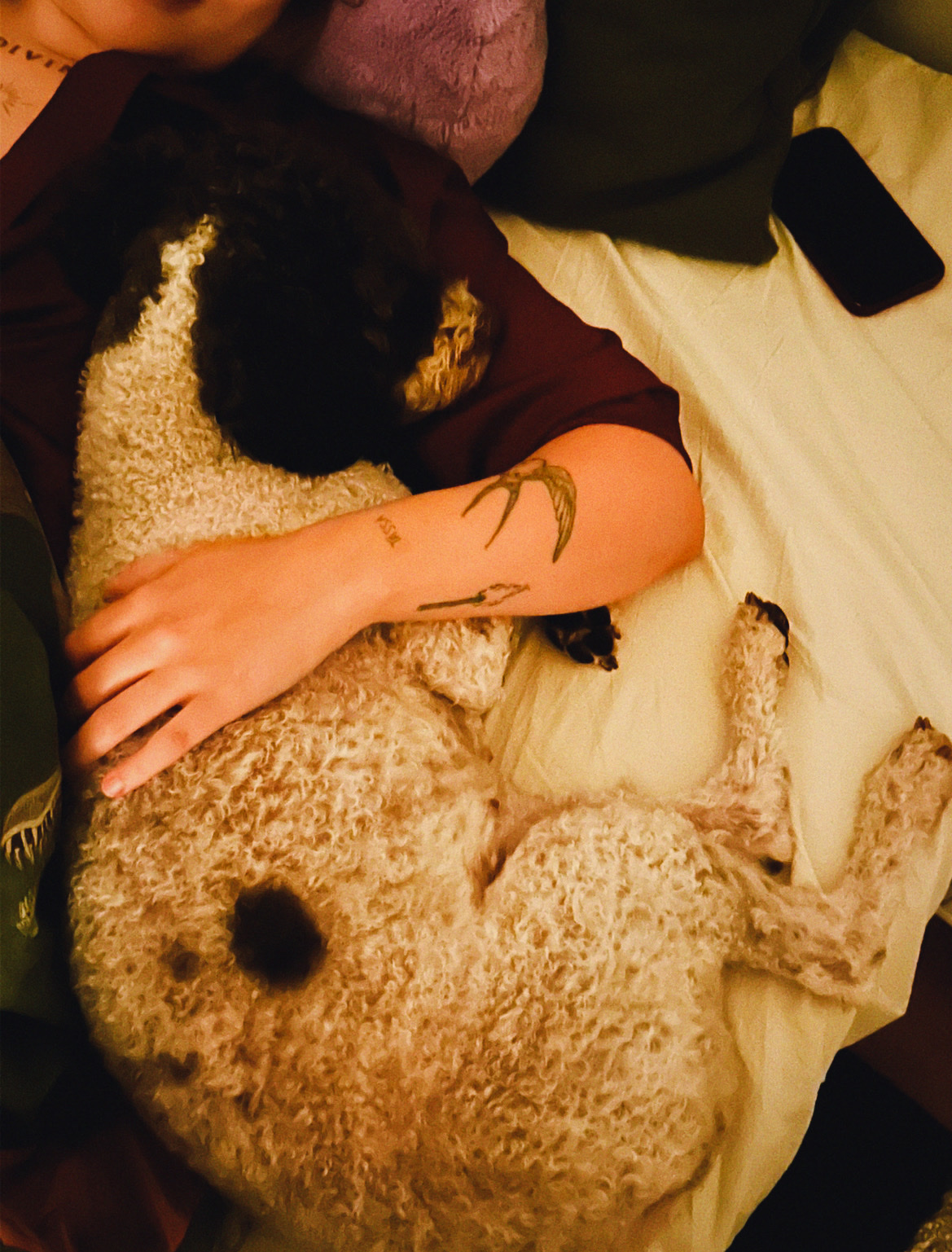 image-8