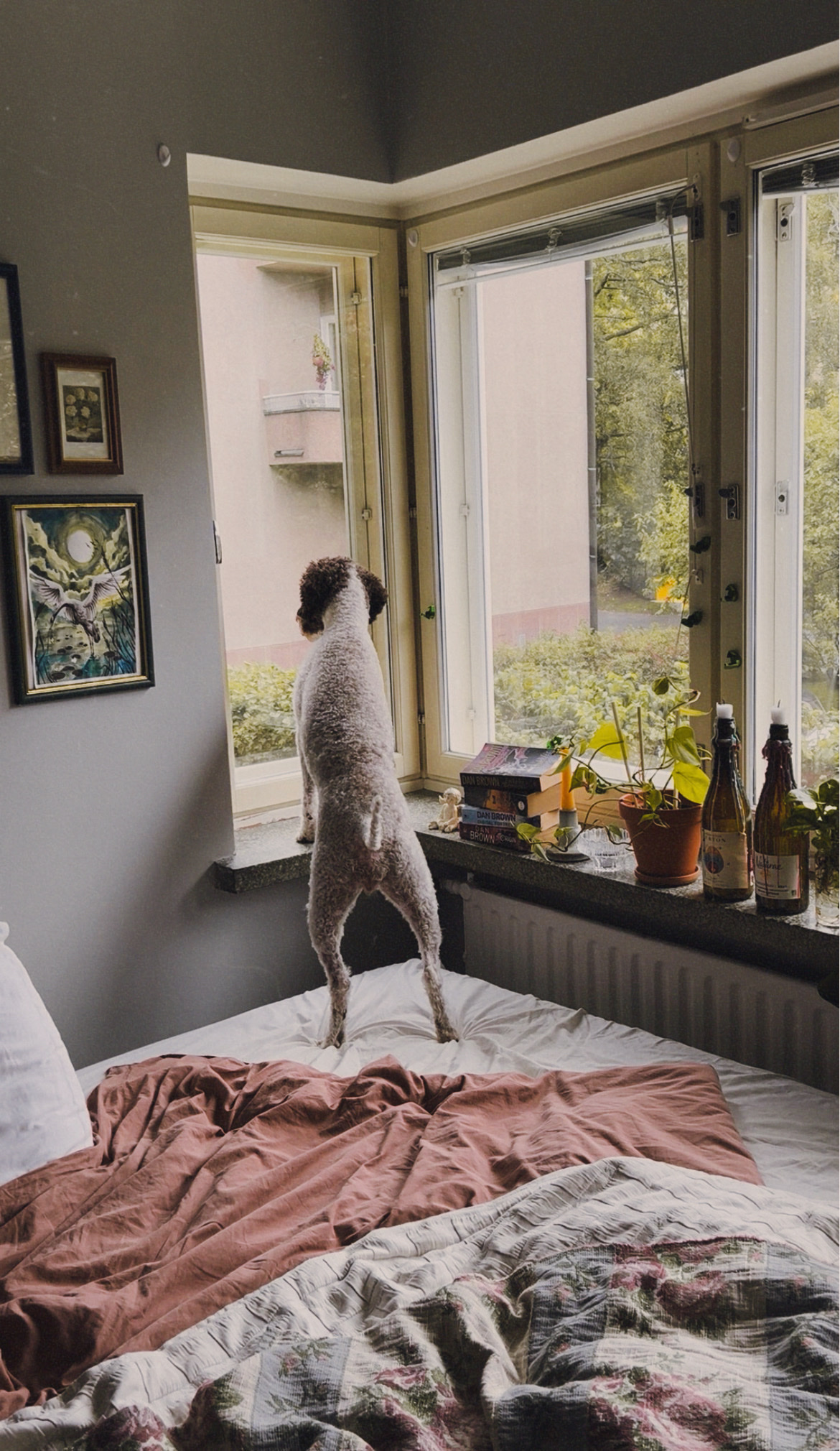 image-15